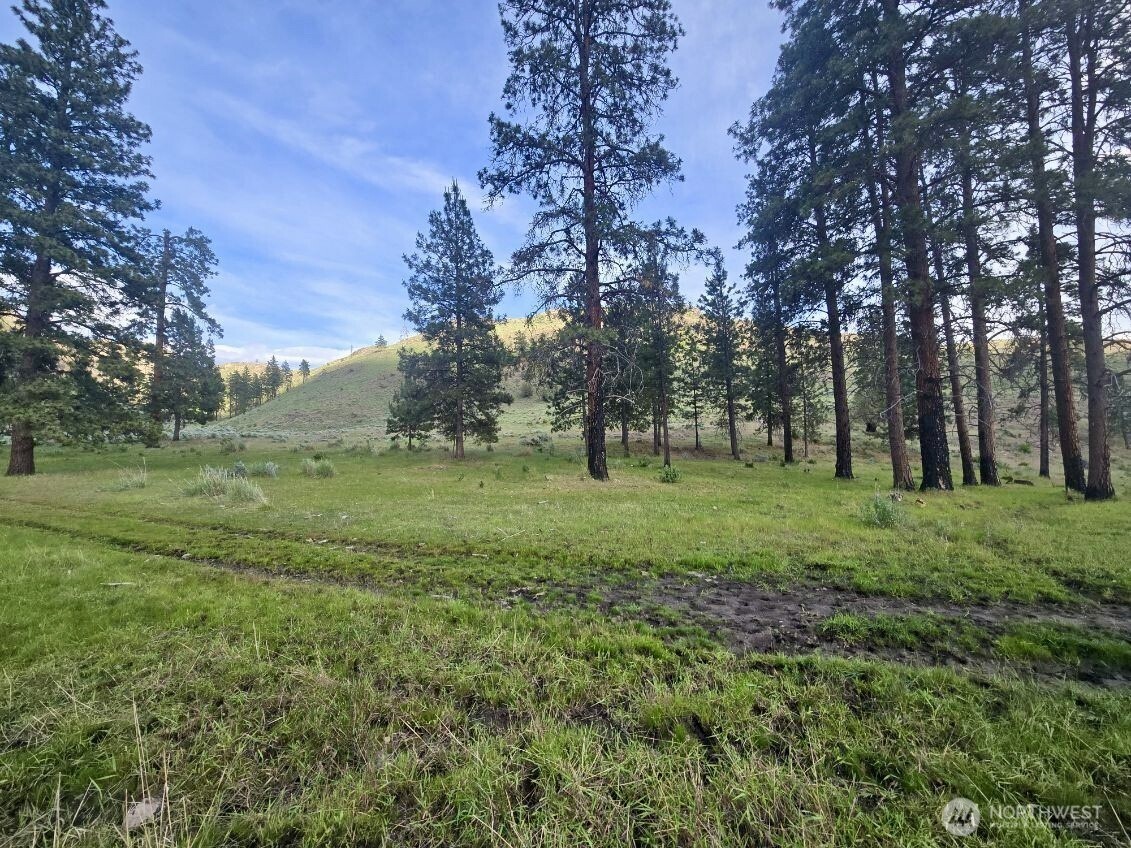 0 XY Salmon Creek Road