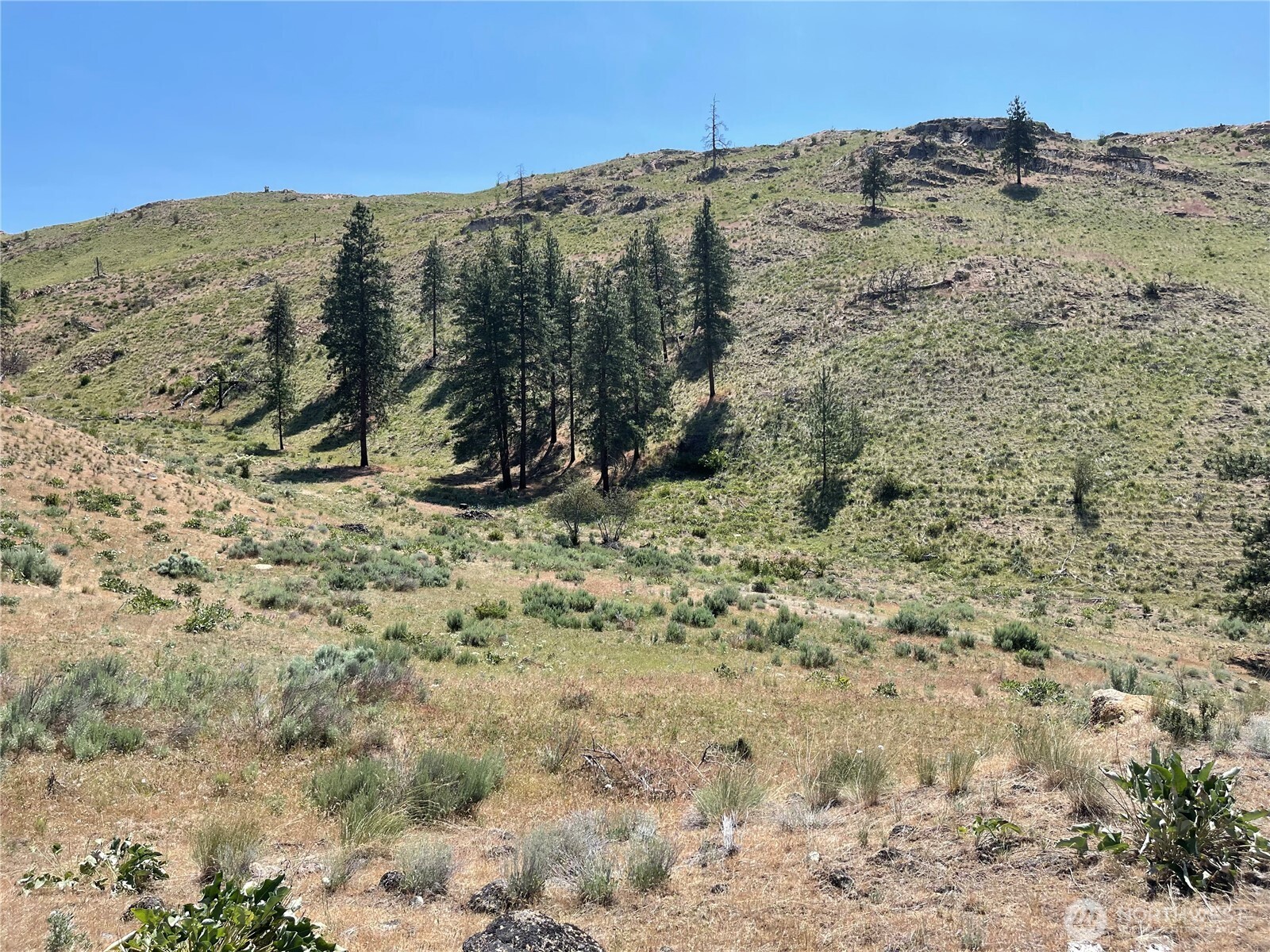 0 XY Salmon Creek Road