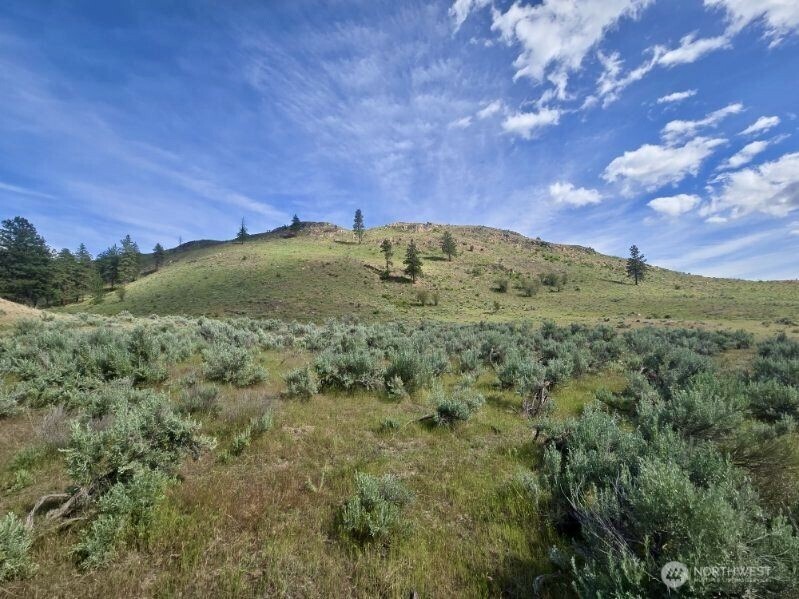 0 XY Salmon Creek Road