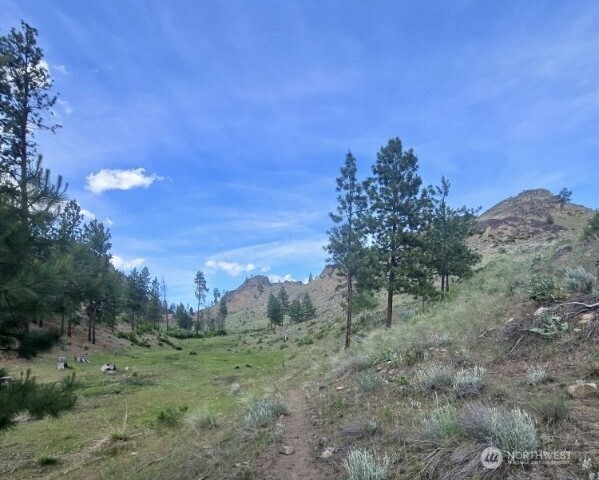 0 XY Salmon Creek Road