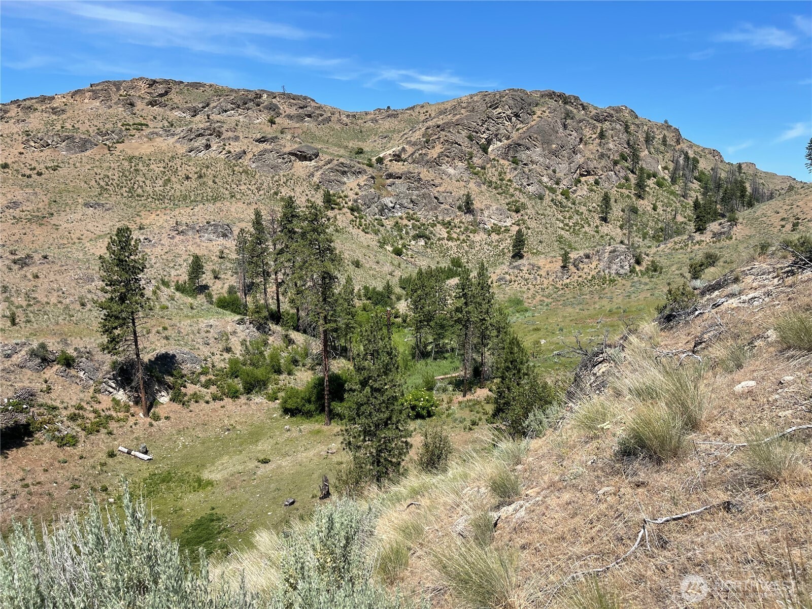 0 XY Salmon Creek Road