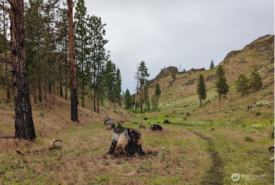 0 XY Salmon Creek Road
