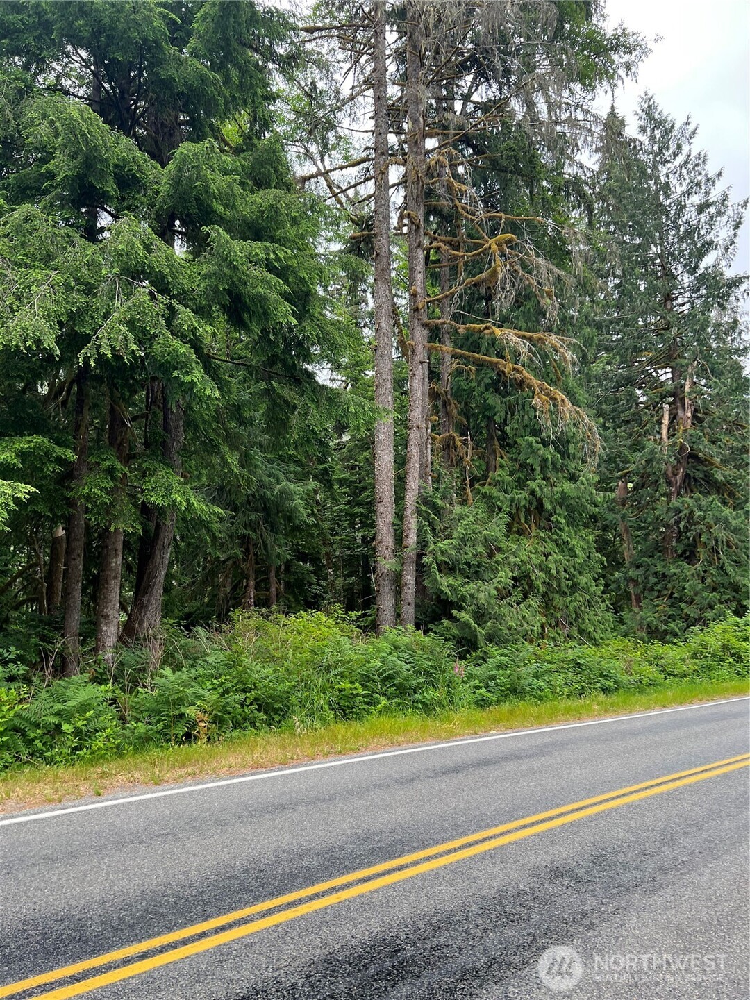 0 Mountain Loop Highway