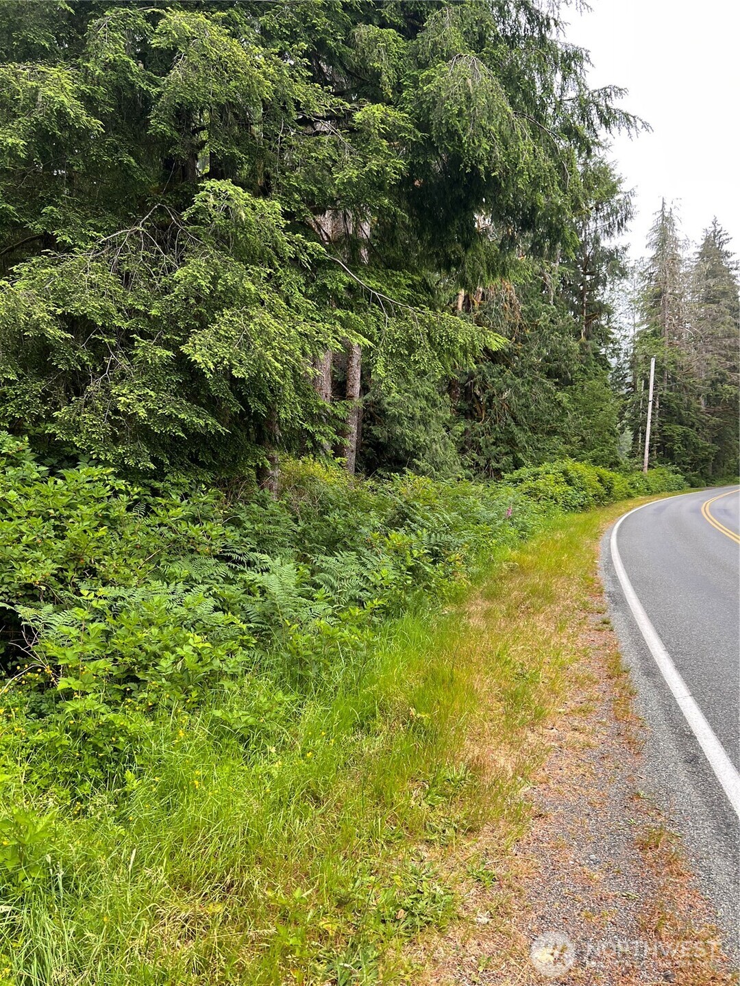 0 Mountain Loop Highway