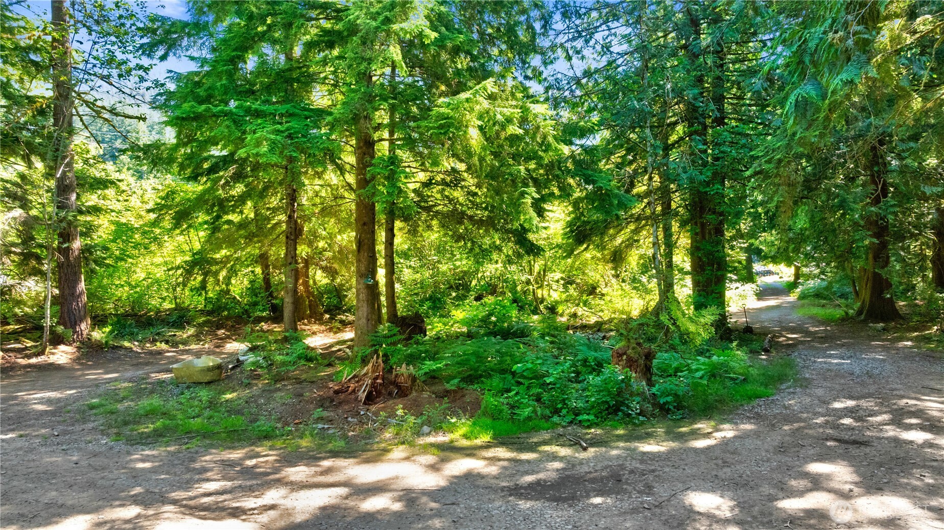 15528 May Creek Road