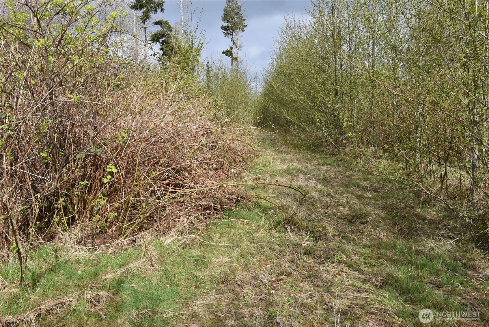 0 Lot 13 W Twin River Road