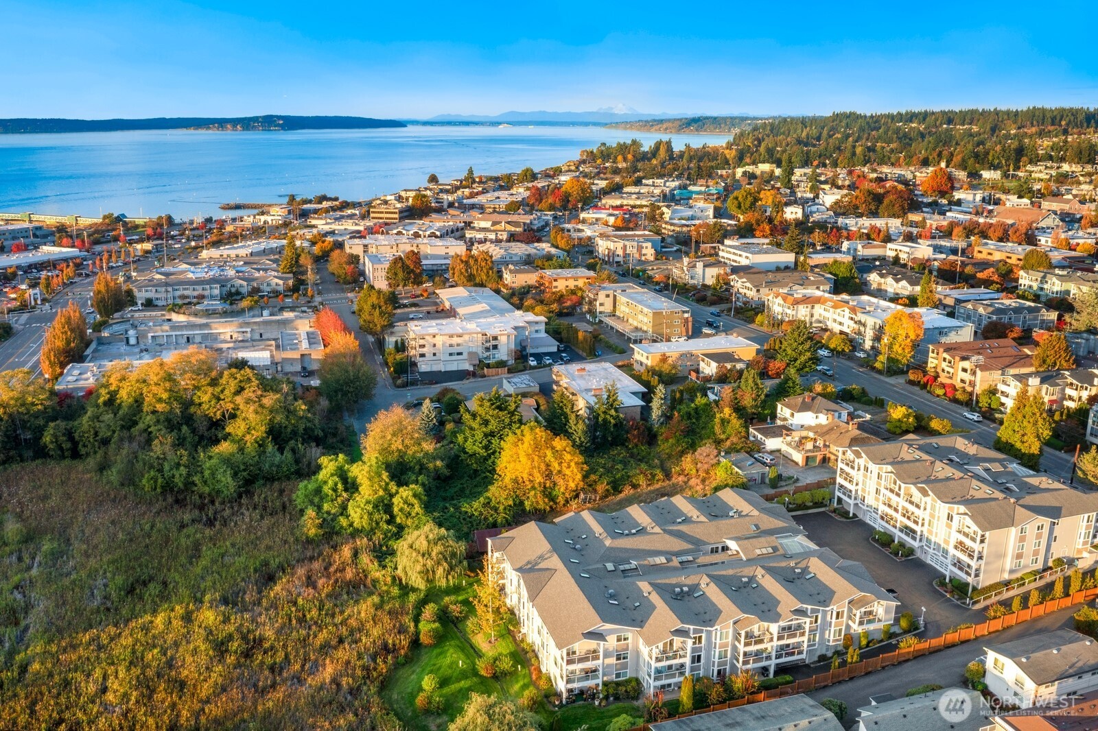404 3rd Avenue S Unit: A-201