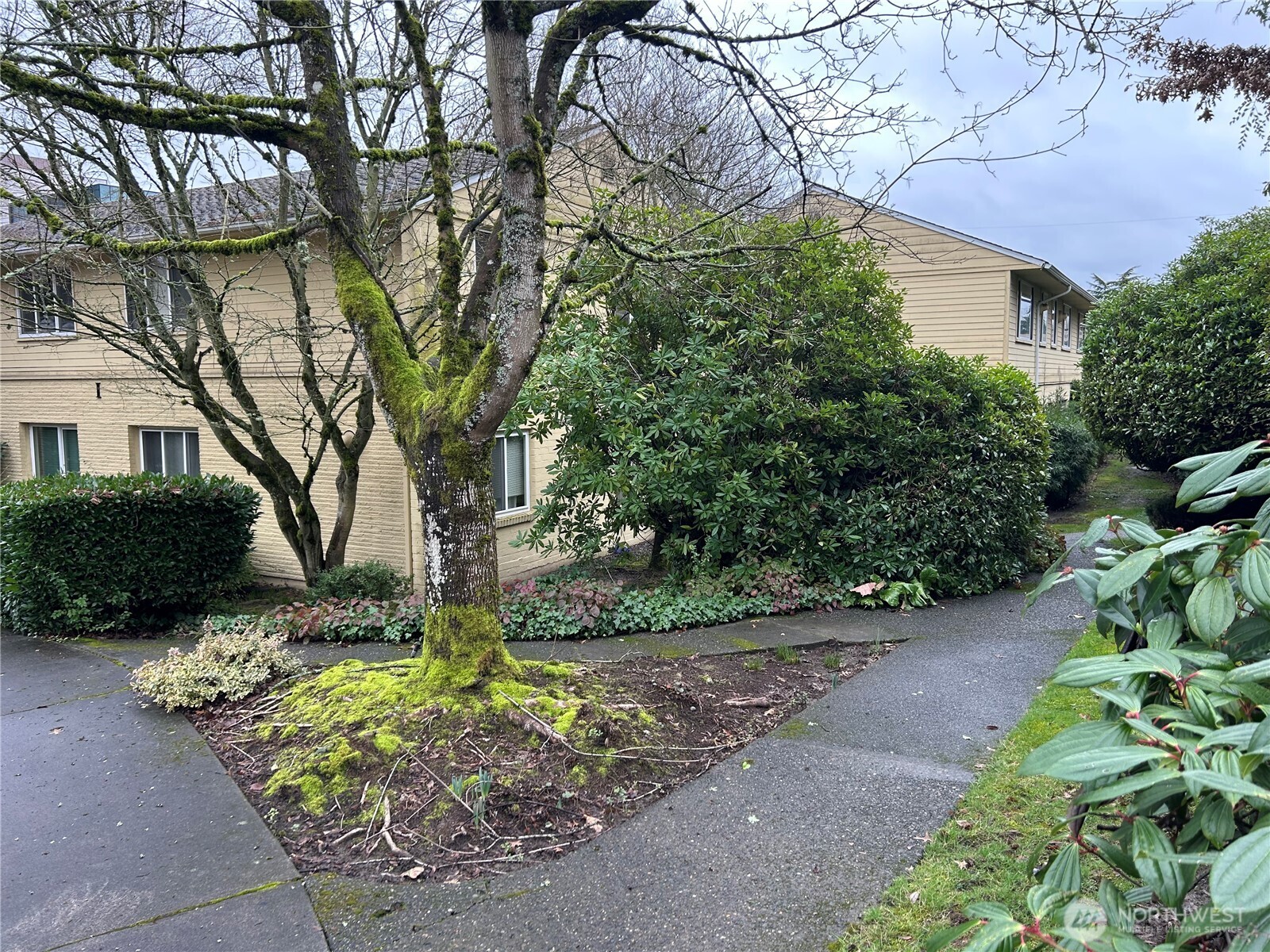 4717 Terrace Drive NE Unit: 4717