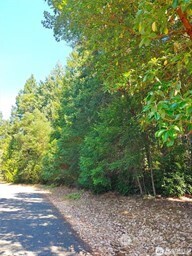 12611 Silver Drive