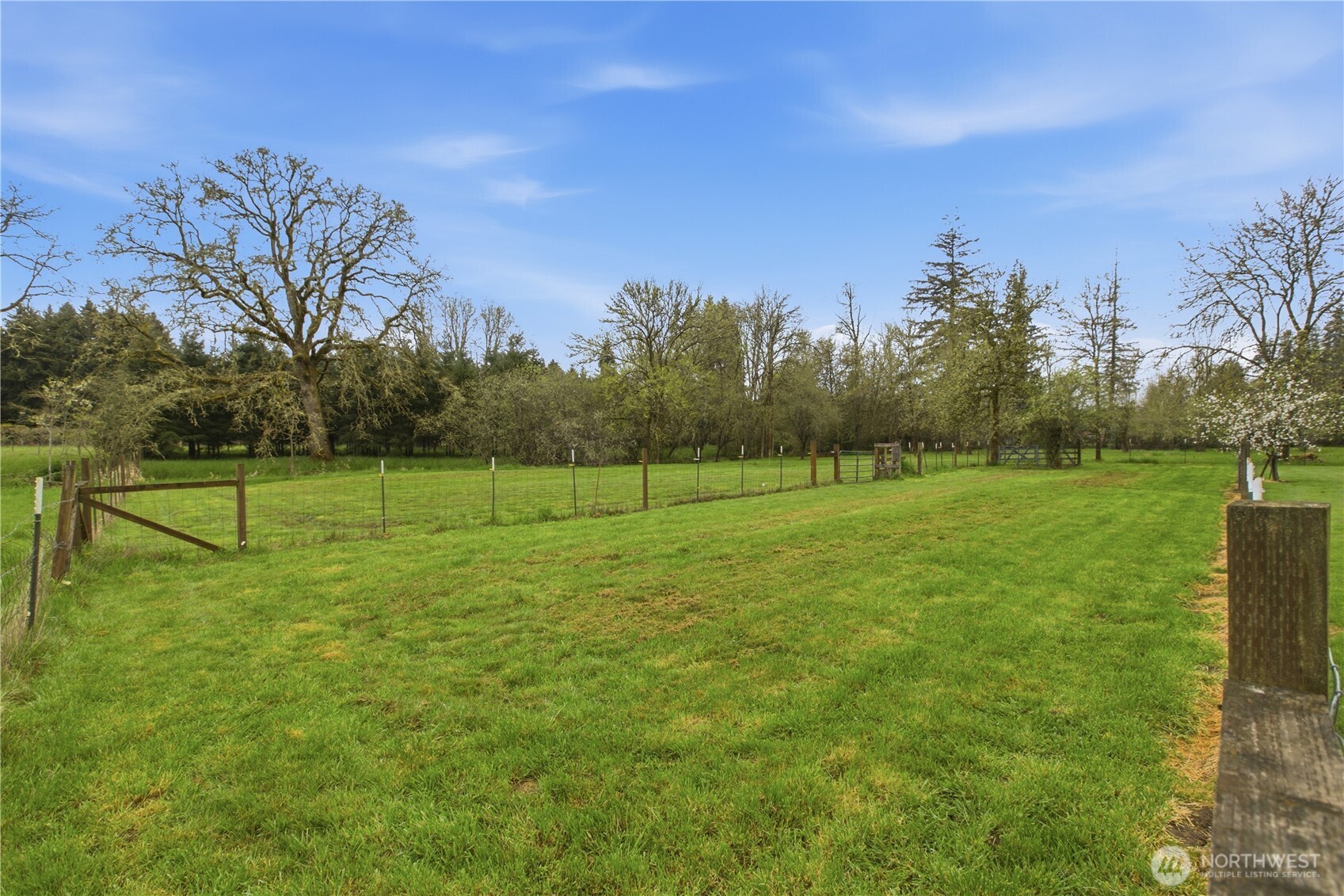 3384 Jackson Hwy