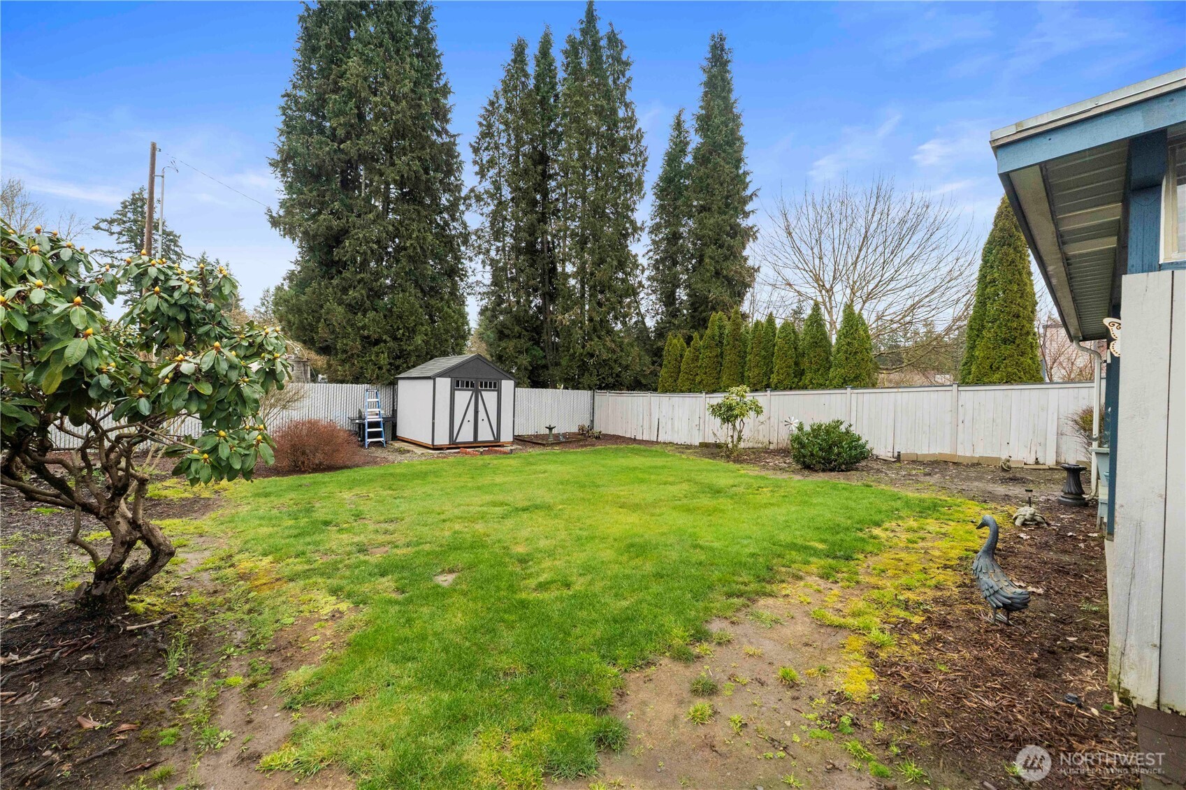 14503 136th Street Ct E