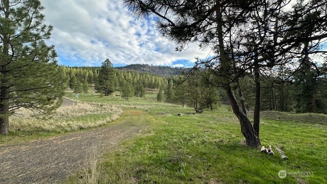 960 Forest Grove