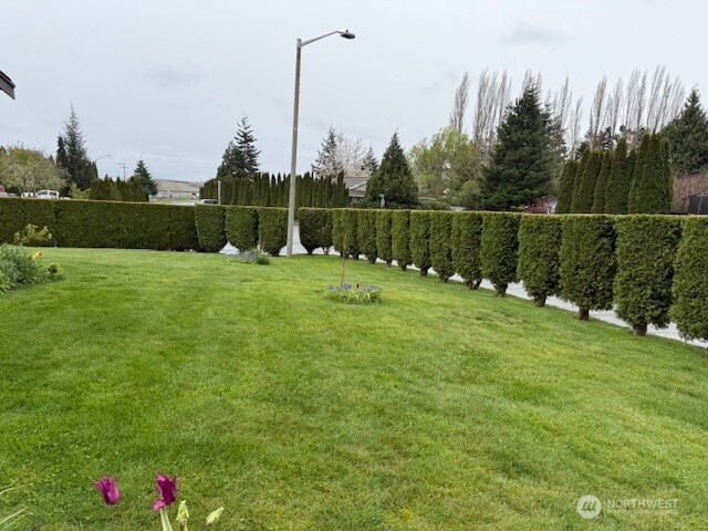 5338 Shields Road