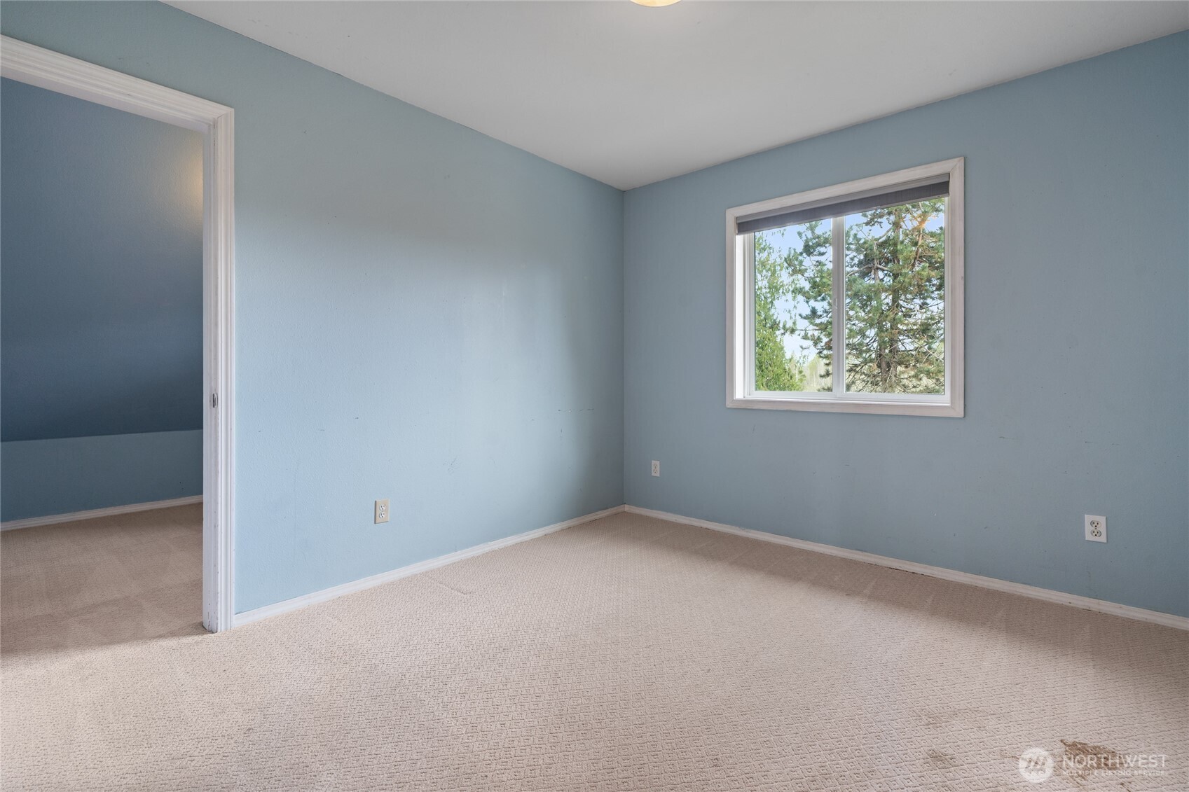 351 Salmon Creek Road