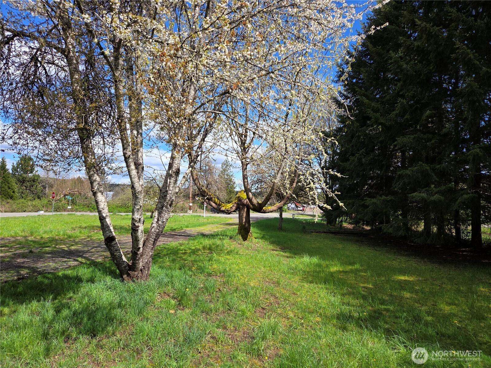 175 Stevens Road
