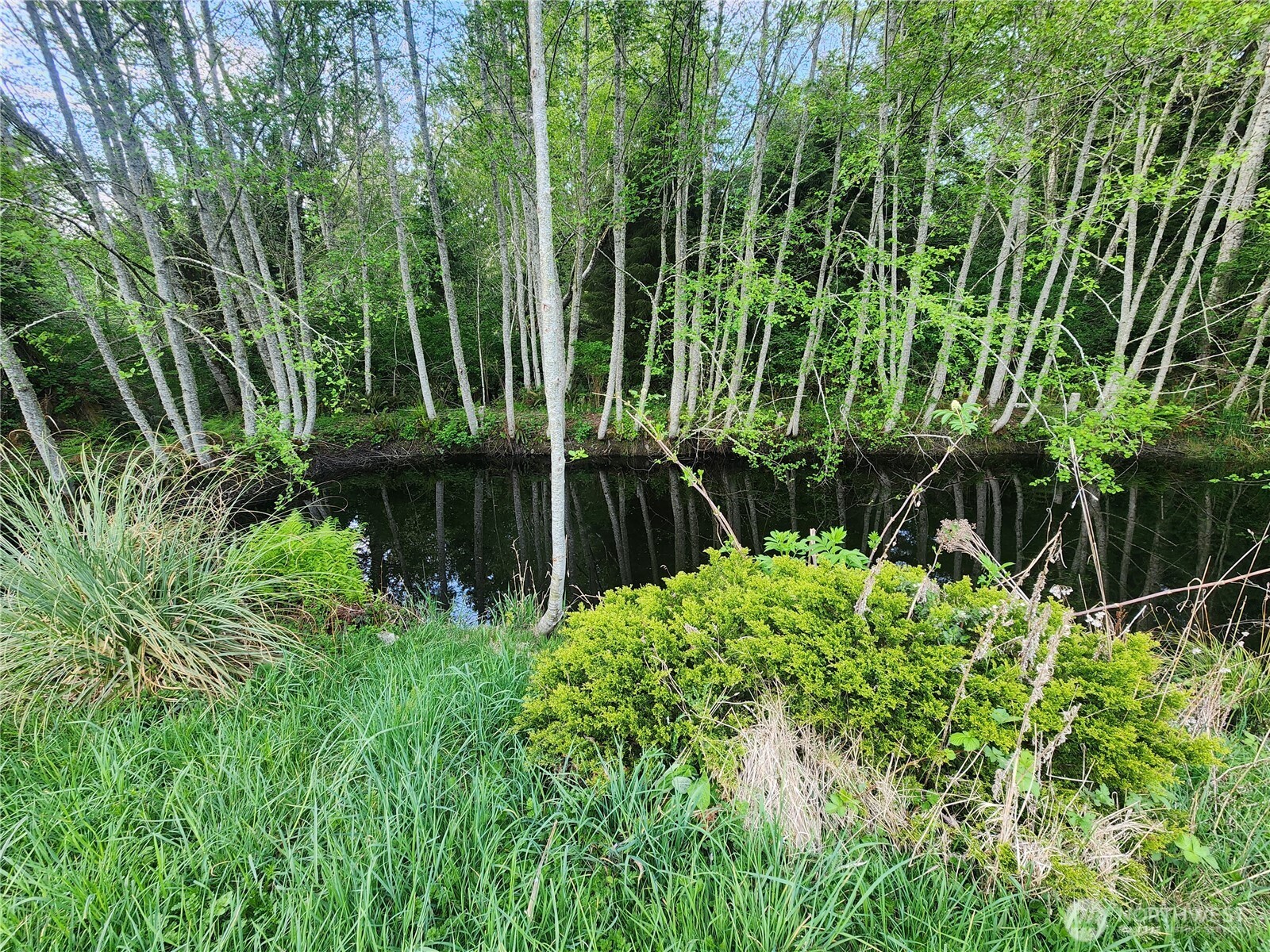 663 Whiskey Creek Beach Road