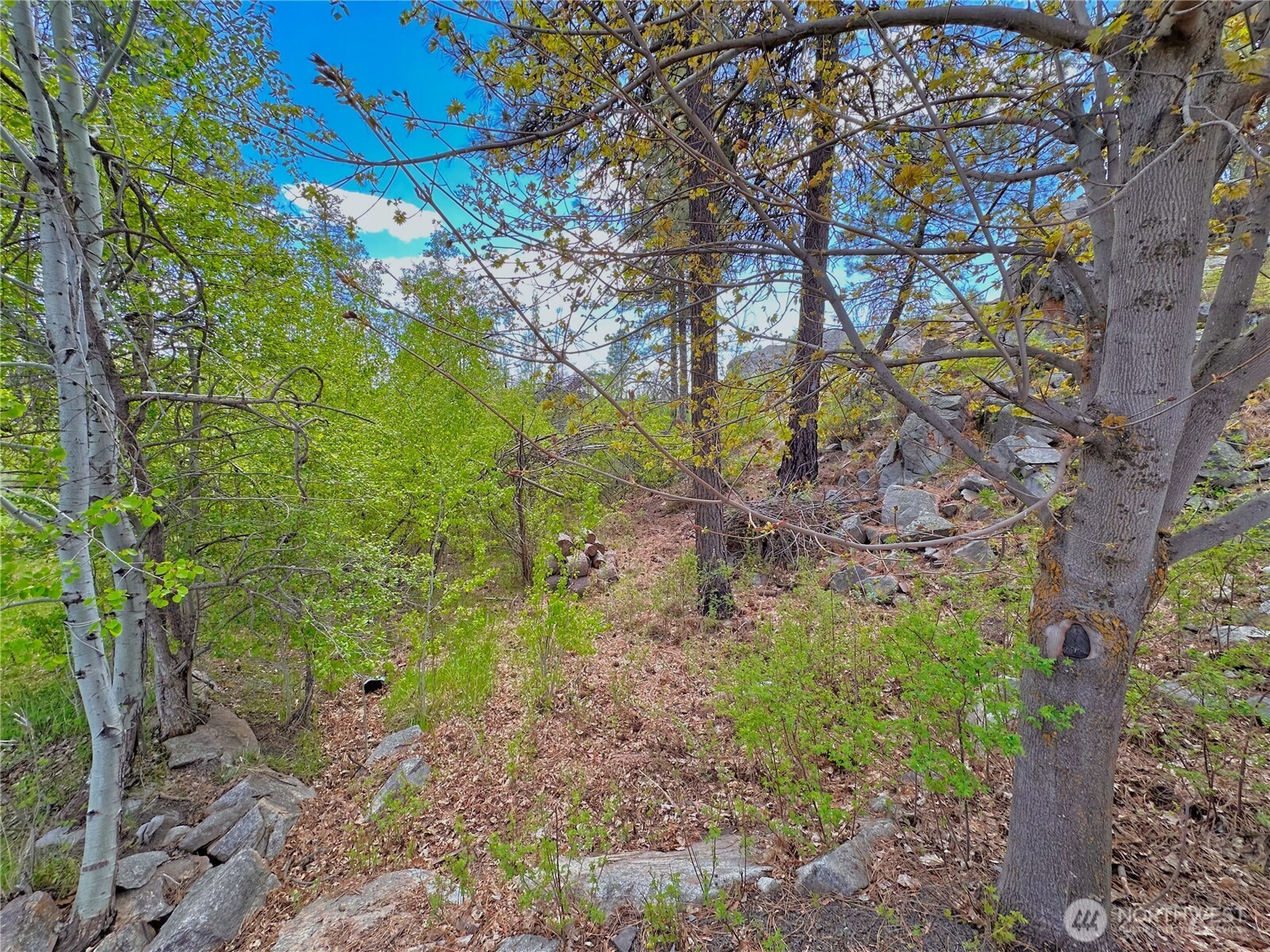 197 Cameron Lake Loop Road