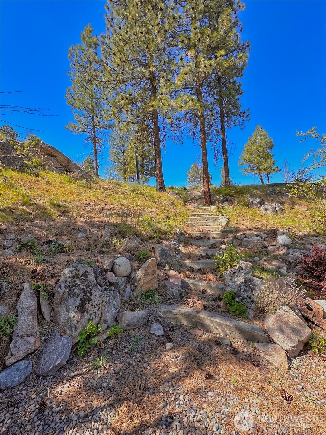 197 Cameron Lake Loop Road