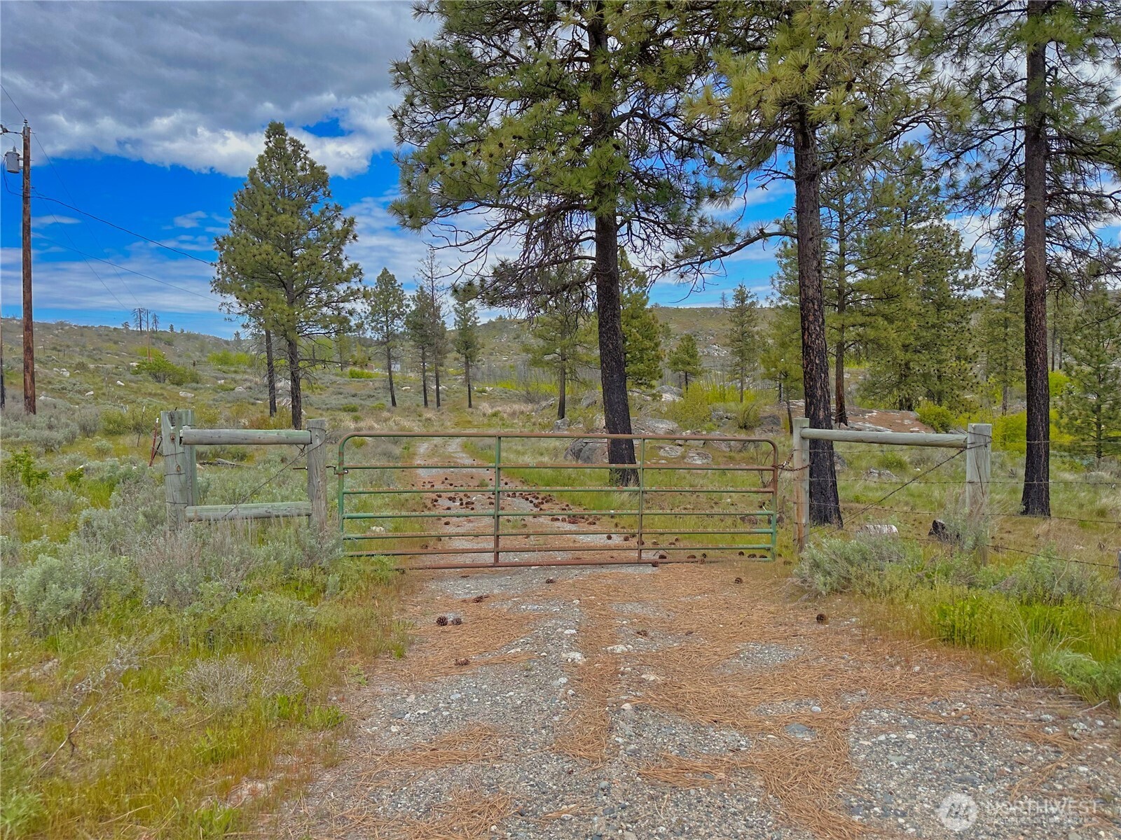 197 Cameron Lake Loop Road