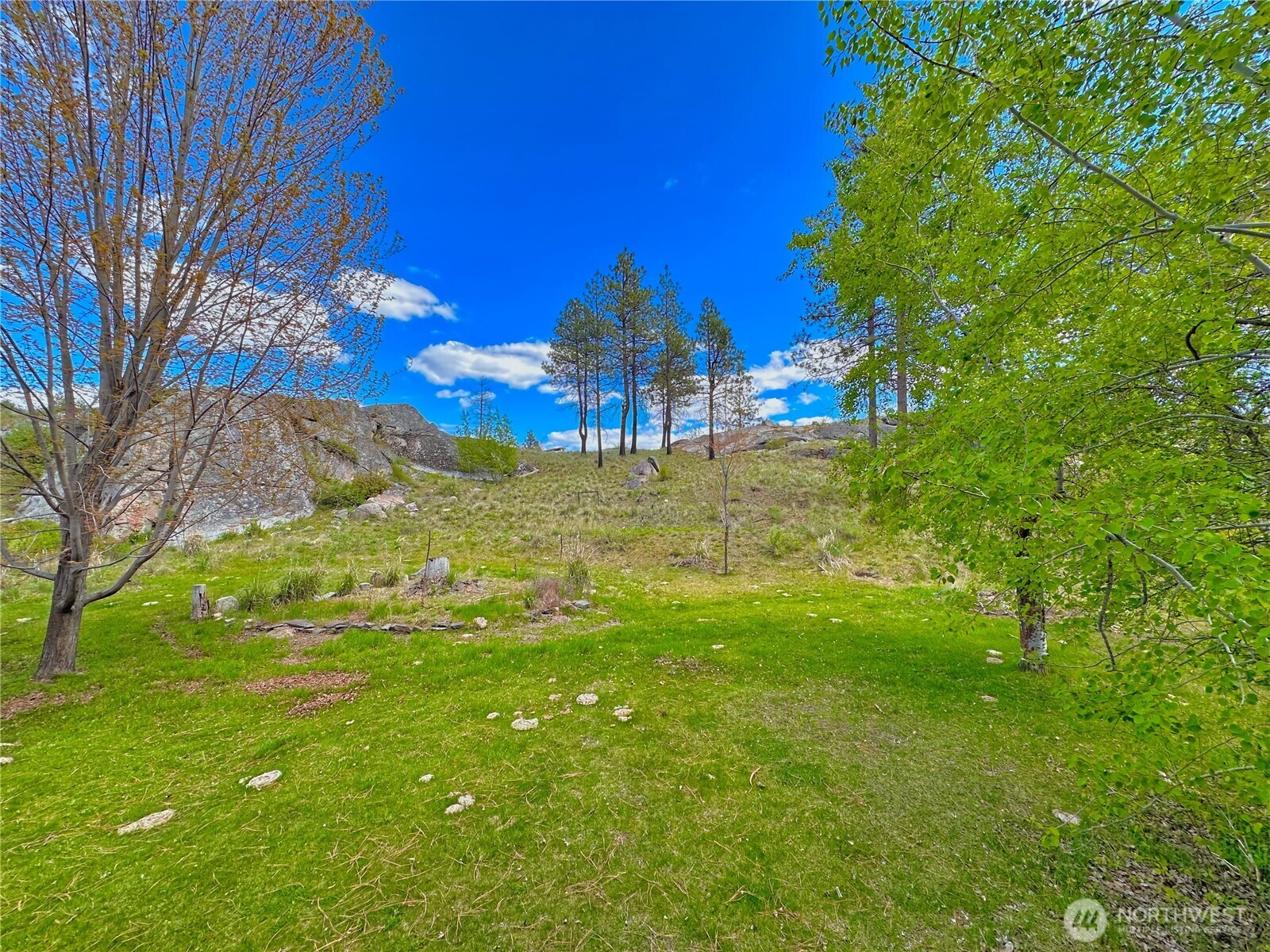 197 Cameron Lake Loop Road