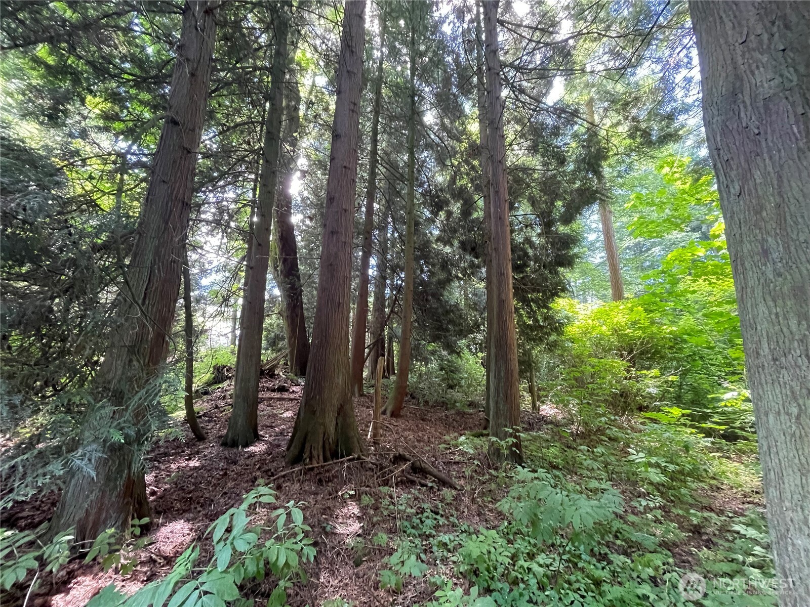 6790 Shelter Lane