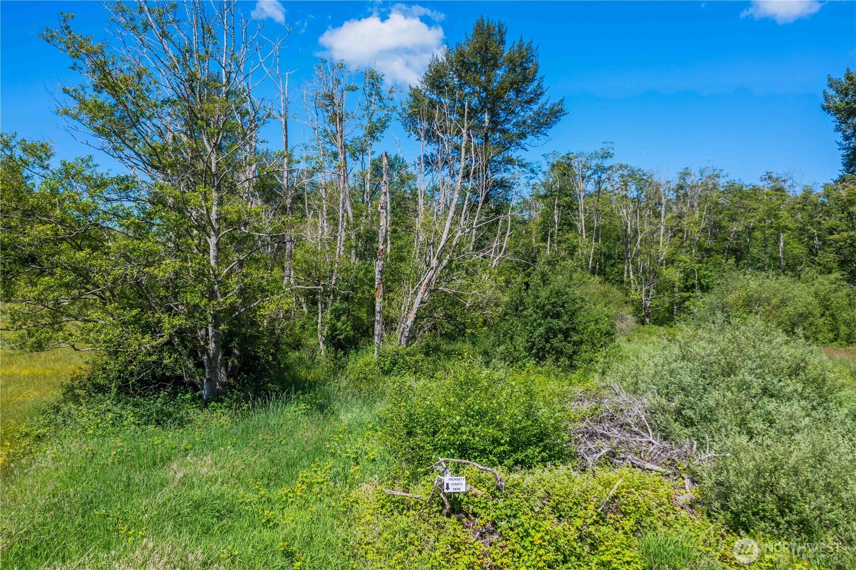 6790 Shelter Lane