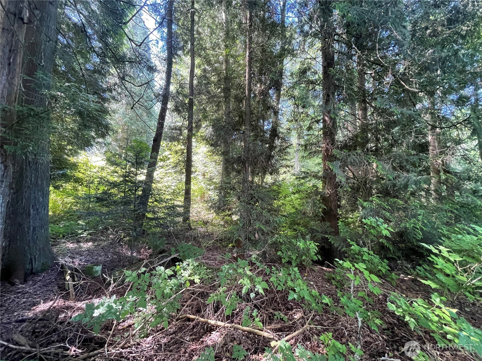 6790 Shelter Lane