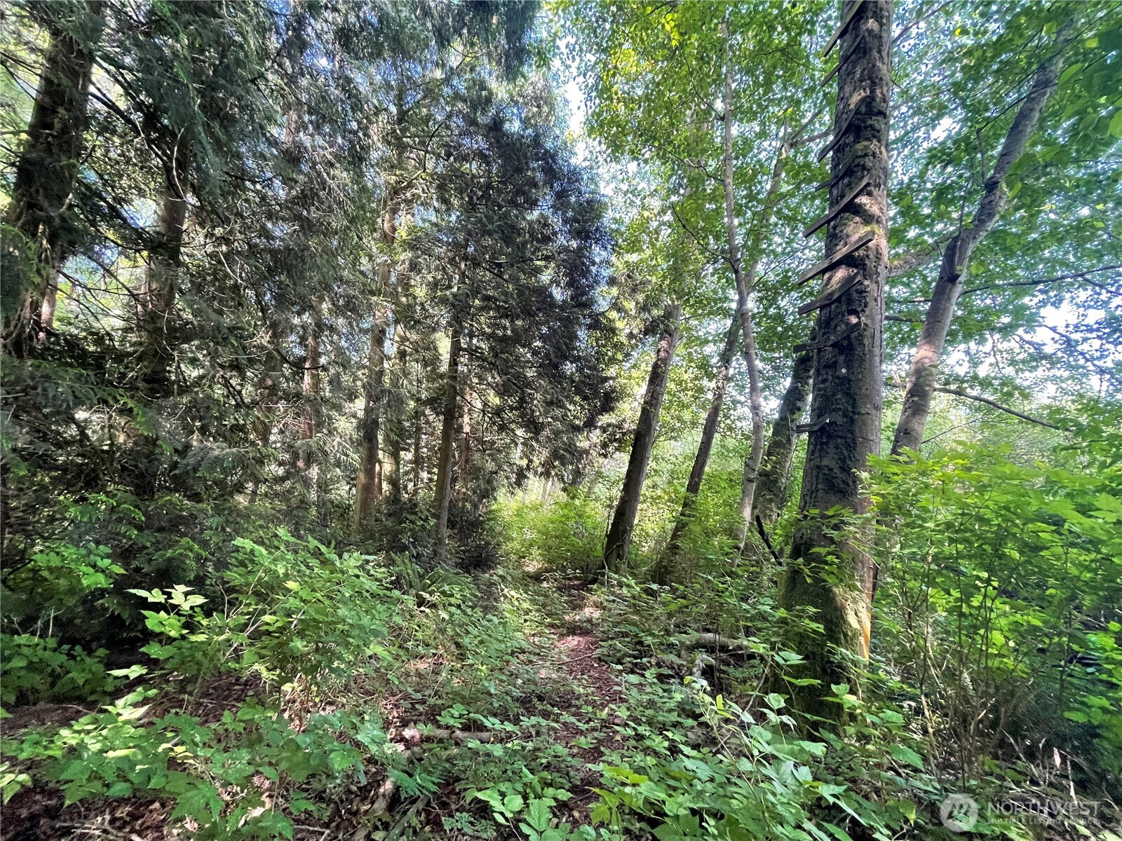 6790 Shelter Lane
