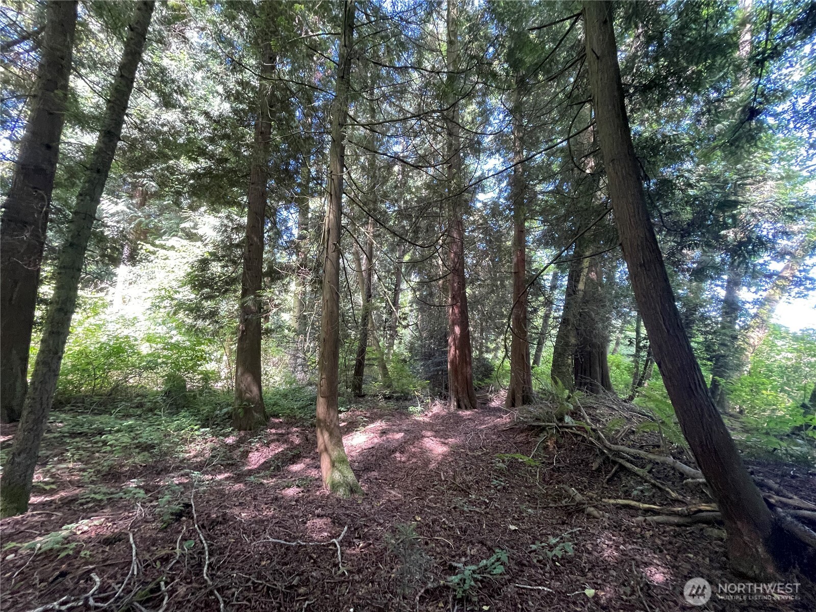 6790 Shelter Lane