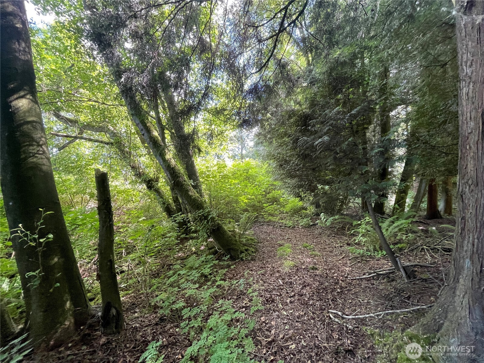 6790 Shelter Lane