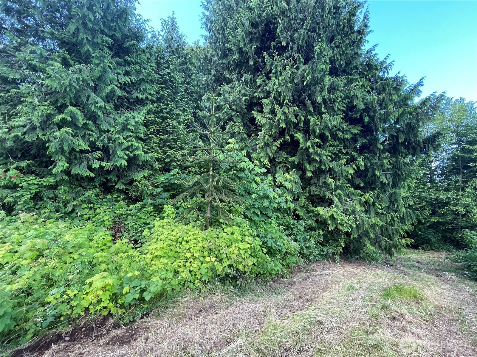 6790 Shelter Lane