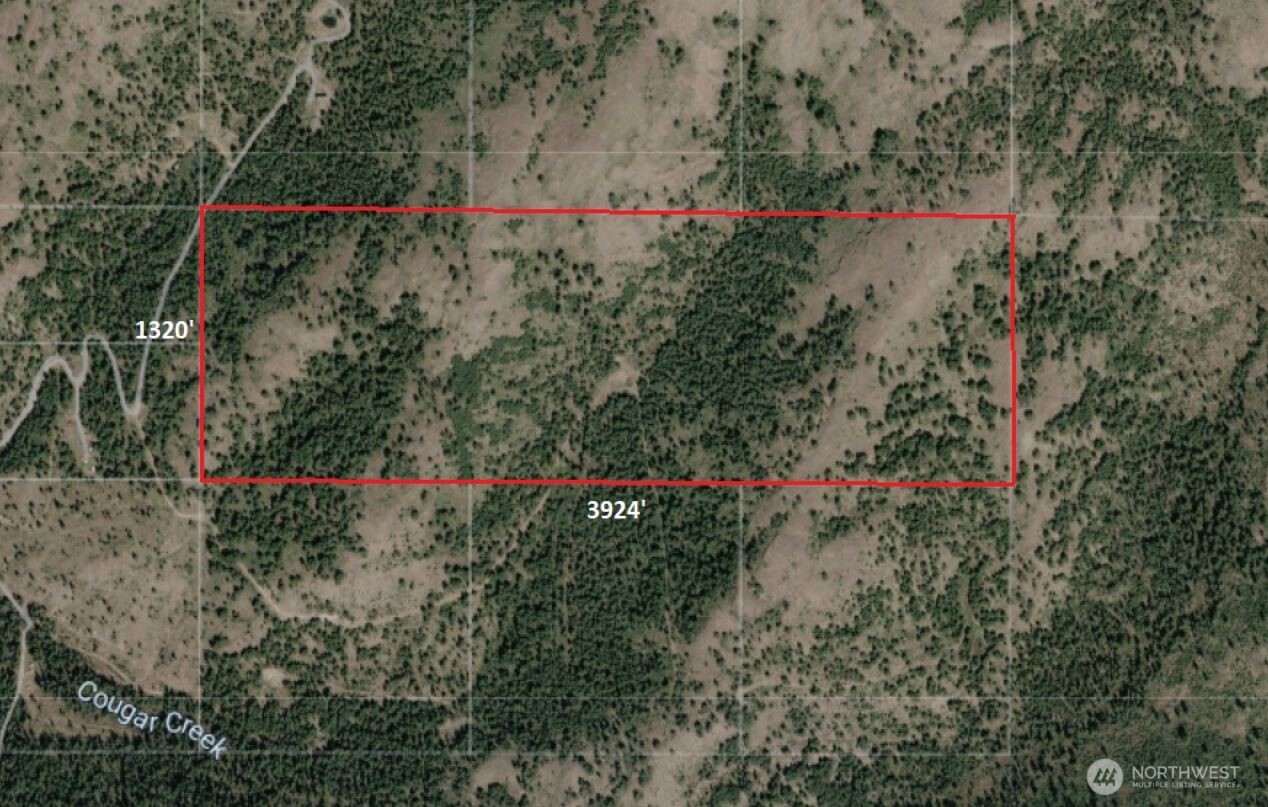 0 XYZ Cougar Creek Road