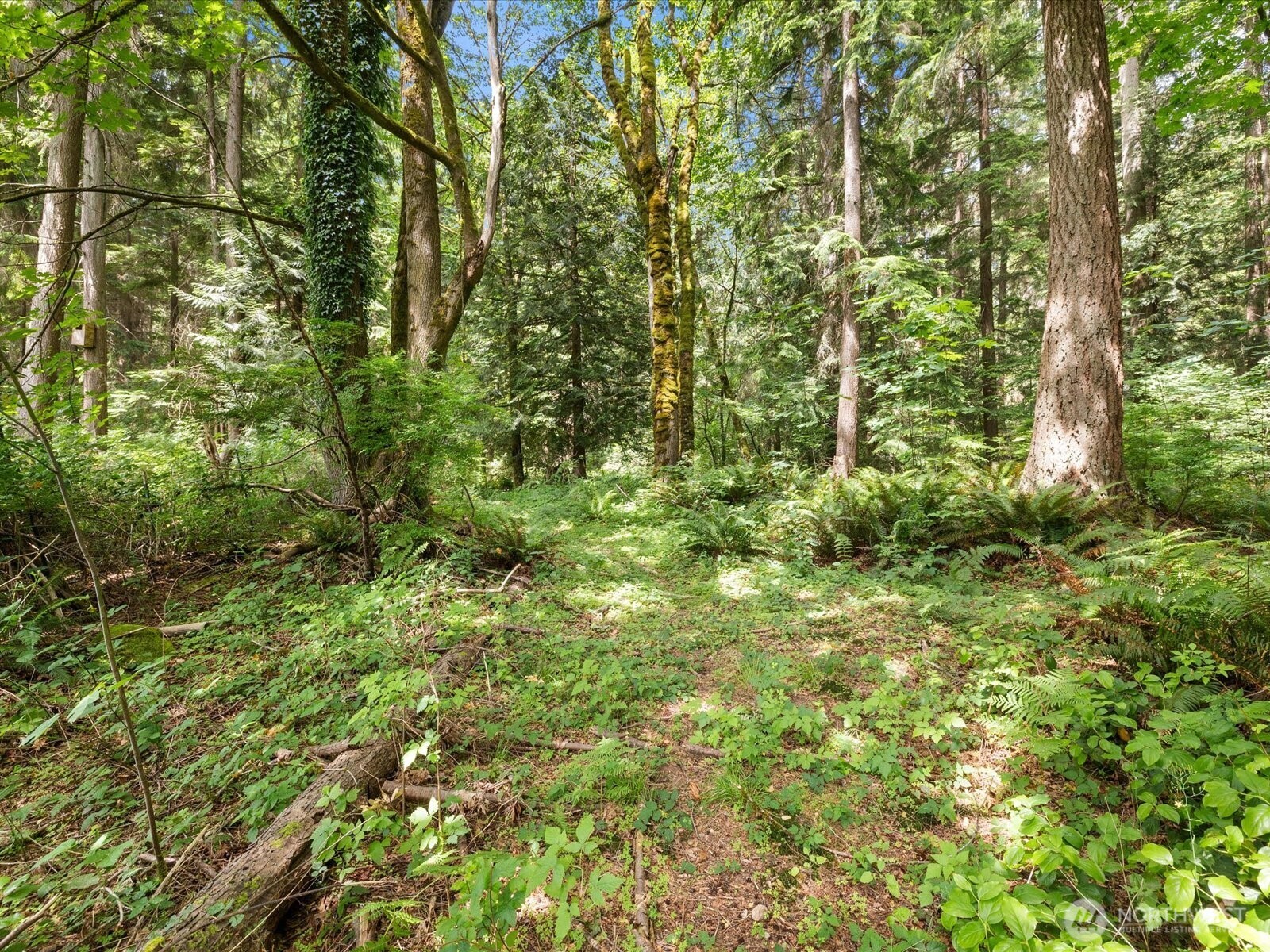 22288 NE Woodinville Duval Road