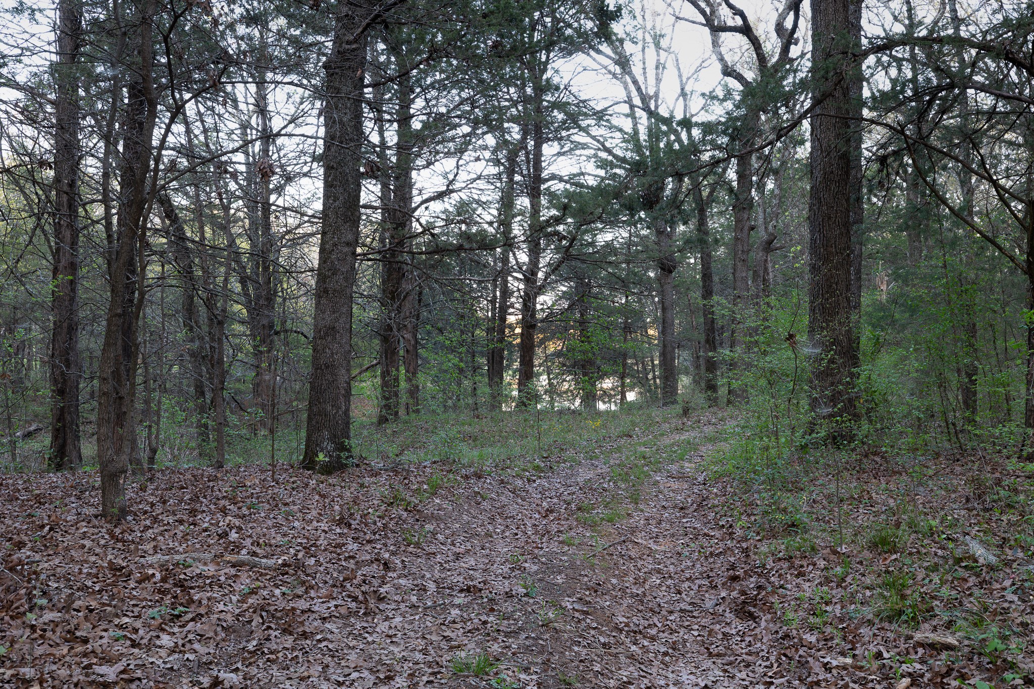 182 Huts Crossing Road