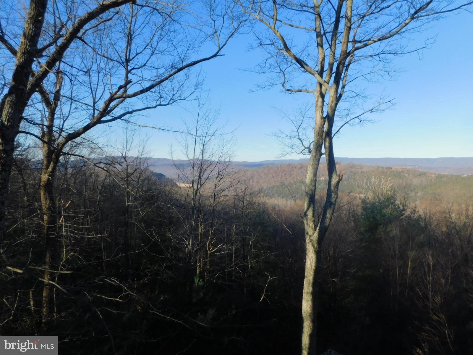 755 MOONSHINE HOLLOW