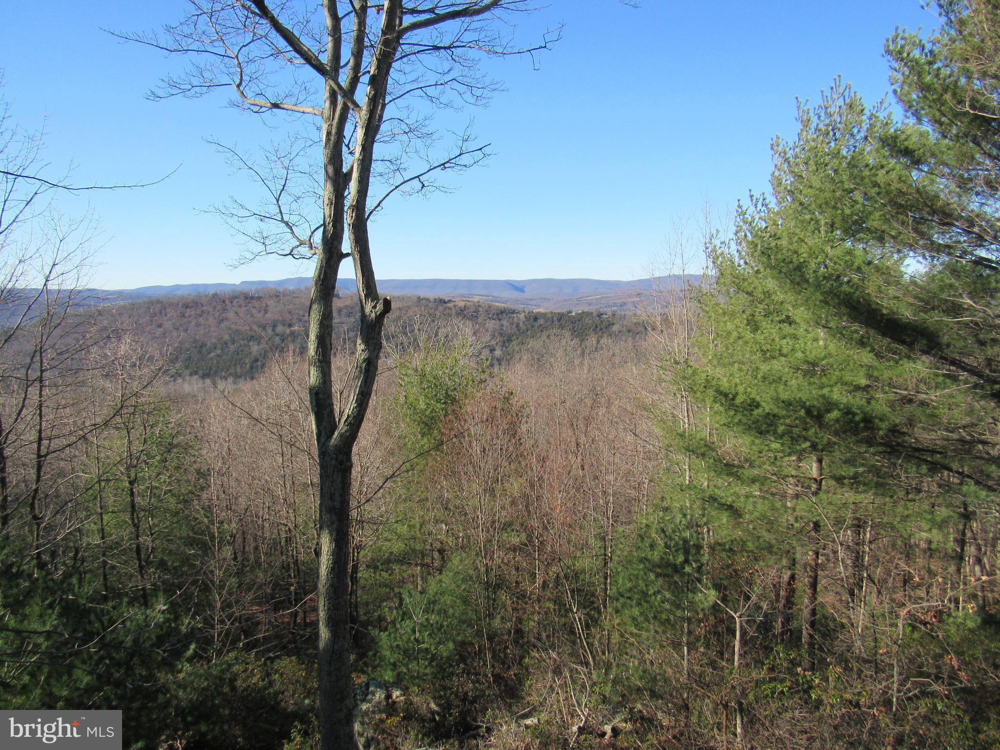 755 MOONSHINE HOLLOW