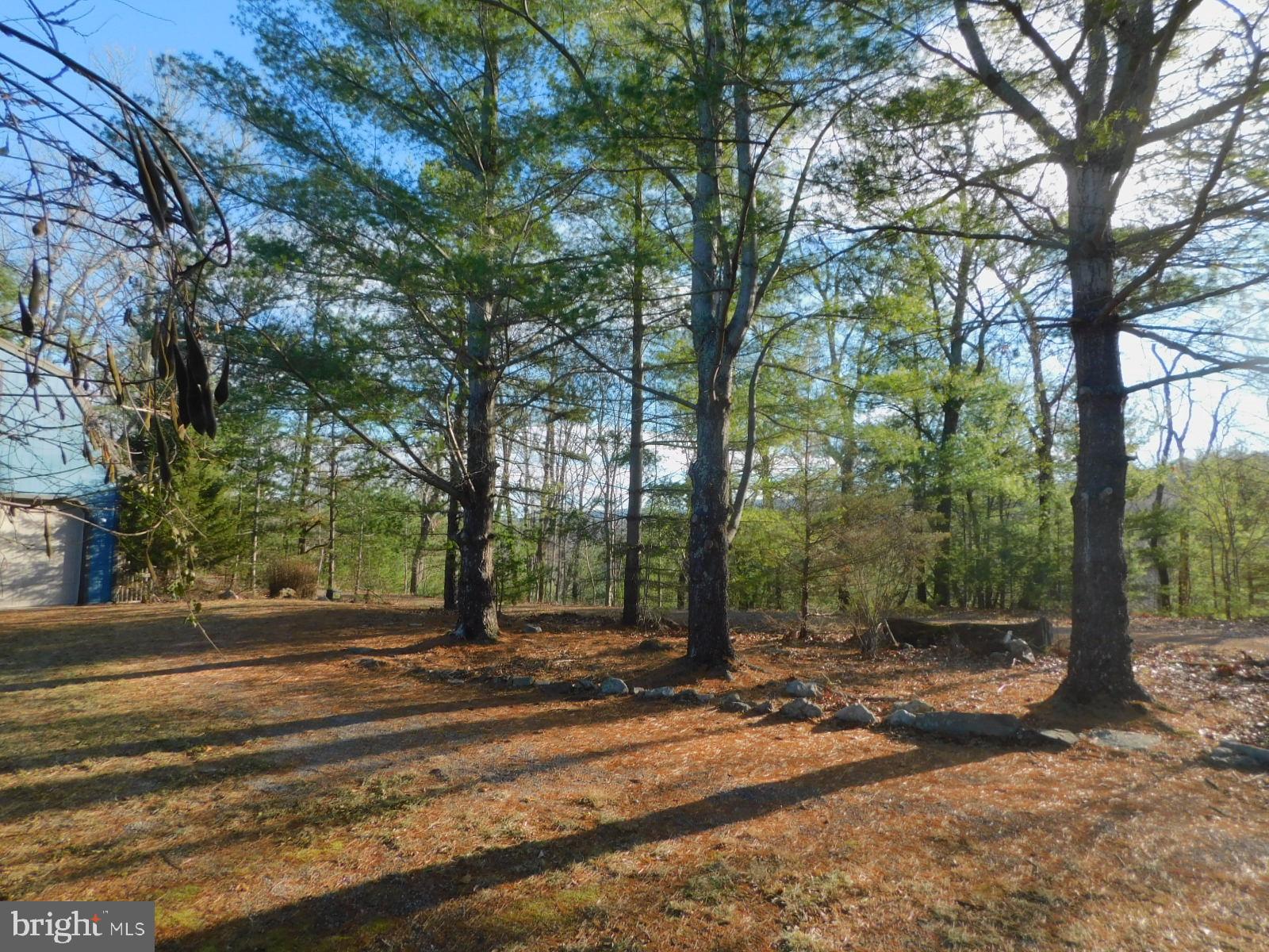 755 MOONSHINE HOLLOW