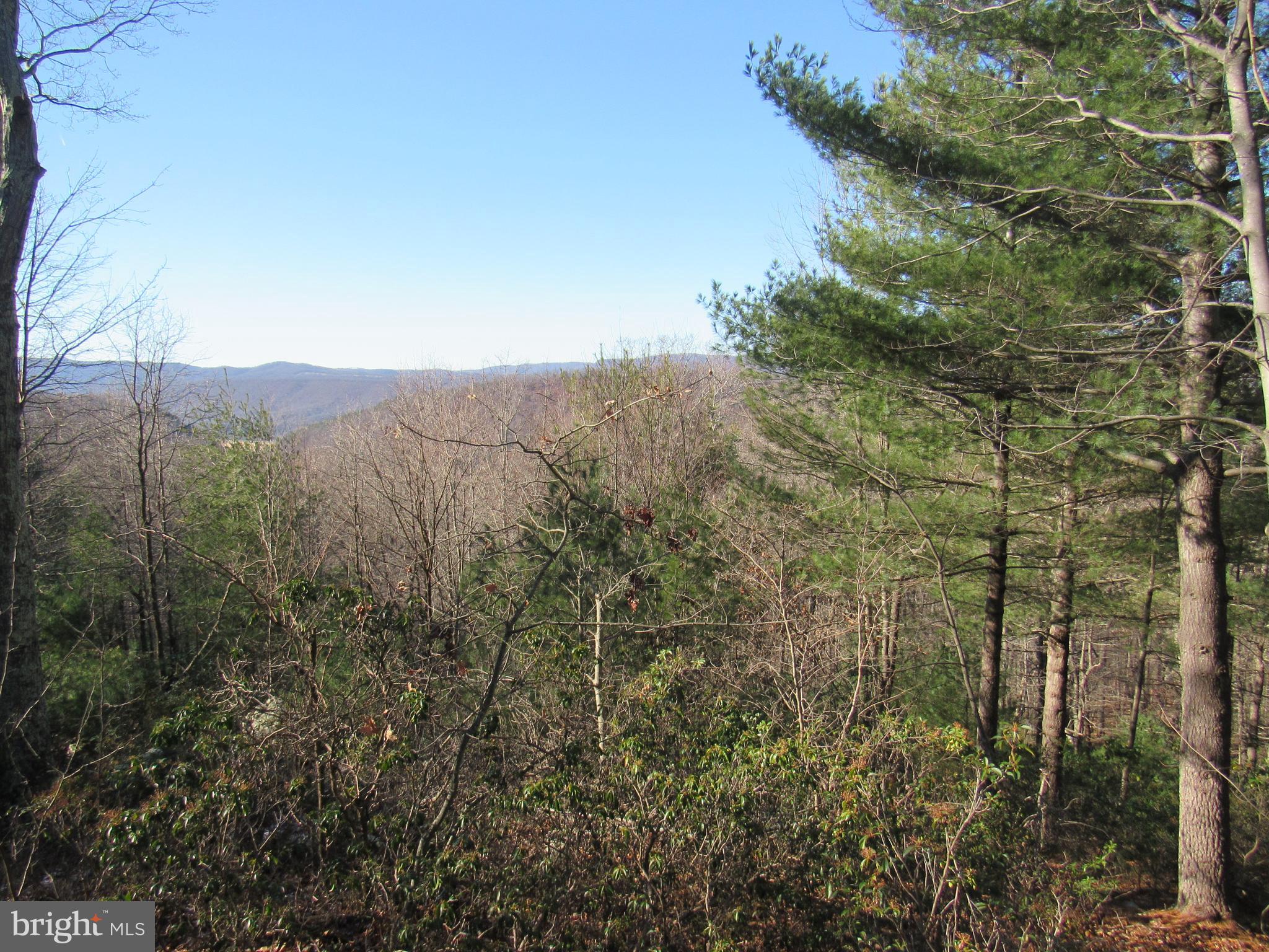 755 MOONSHINE HOLLOW