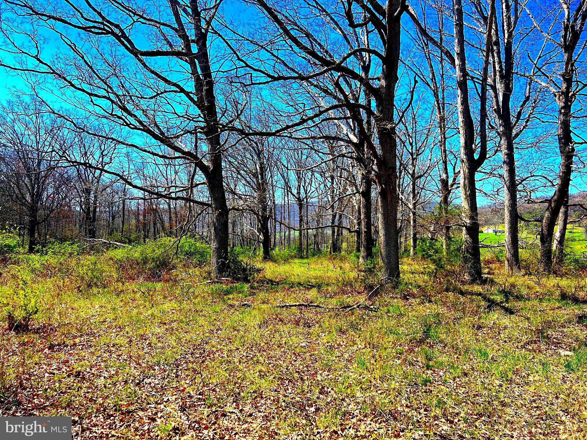 250 LOWER PINE GROVE ROAD