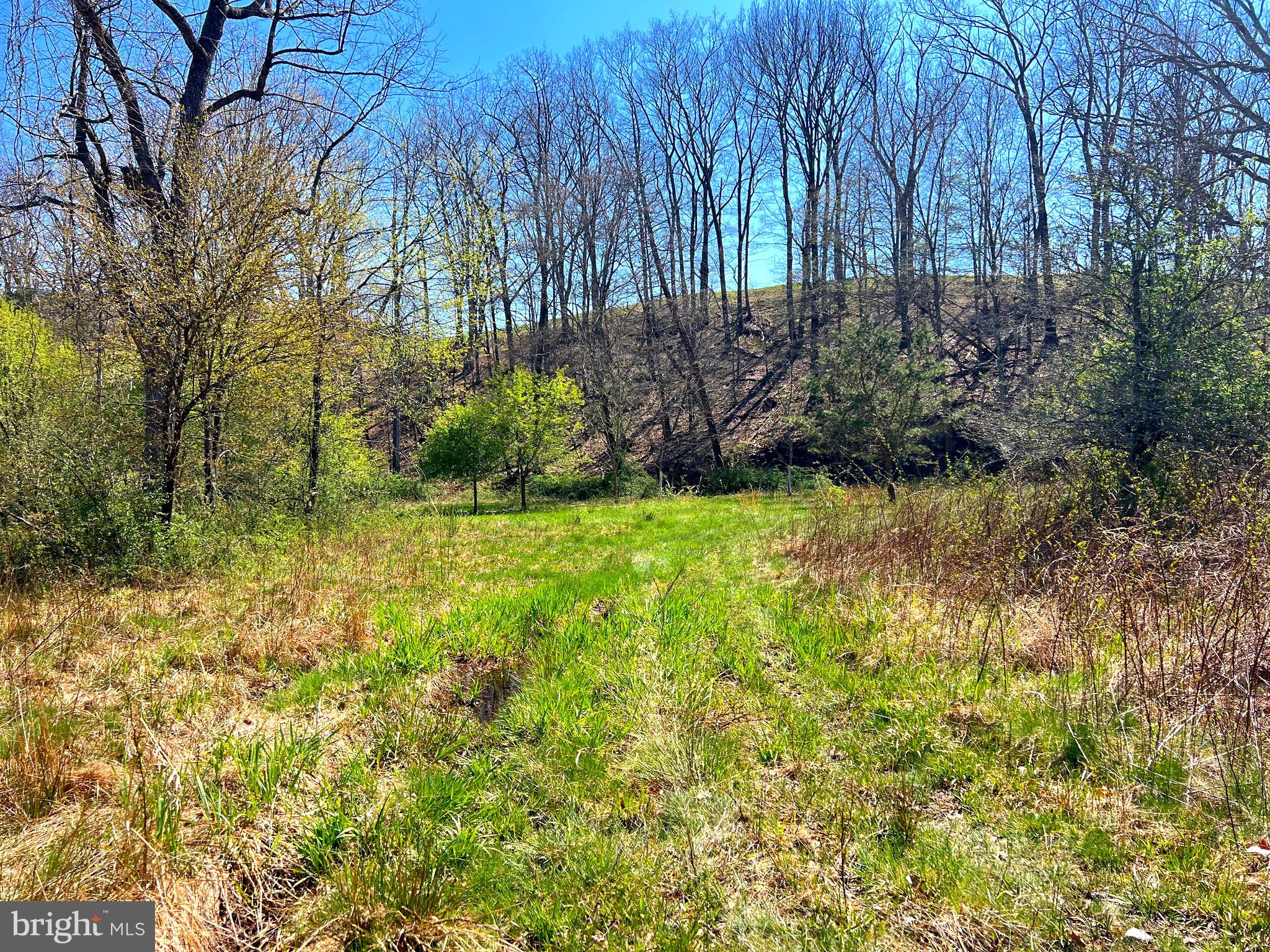 250 LOWER PINE GROVE ROAD