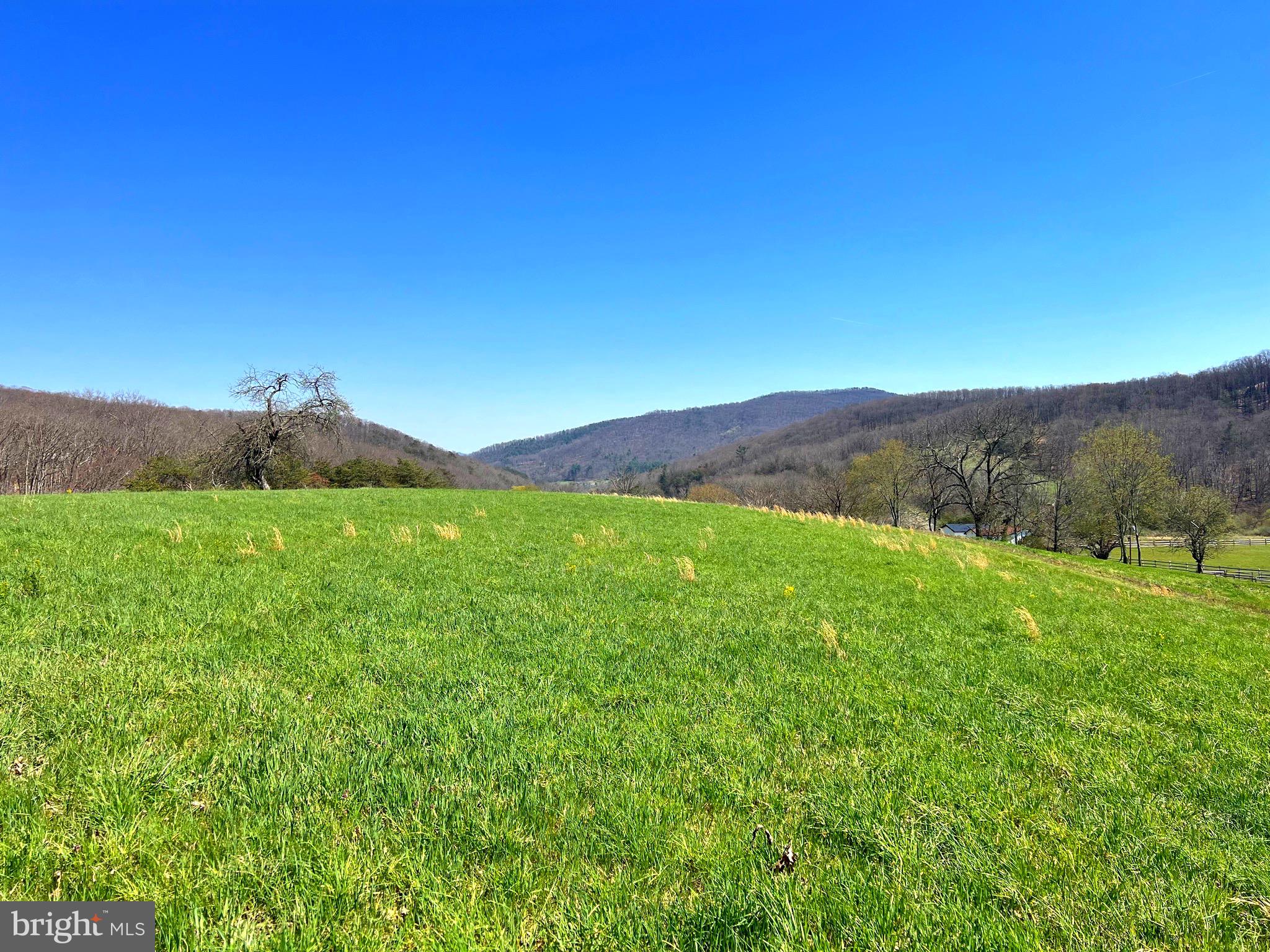 250 LOWER PINE GROVE ROAD