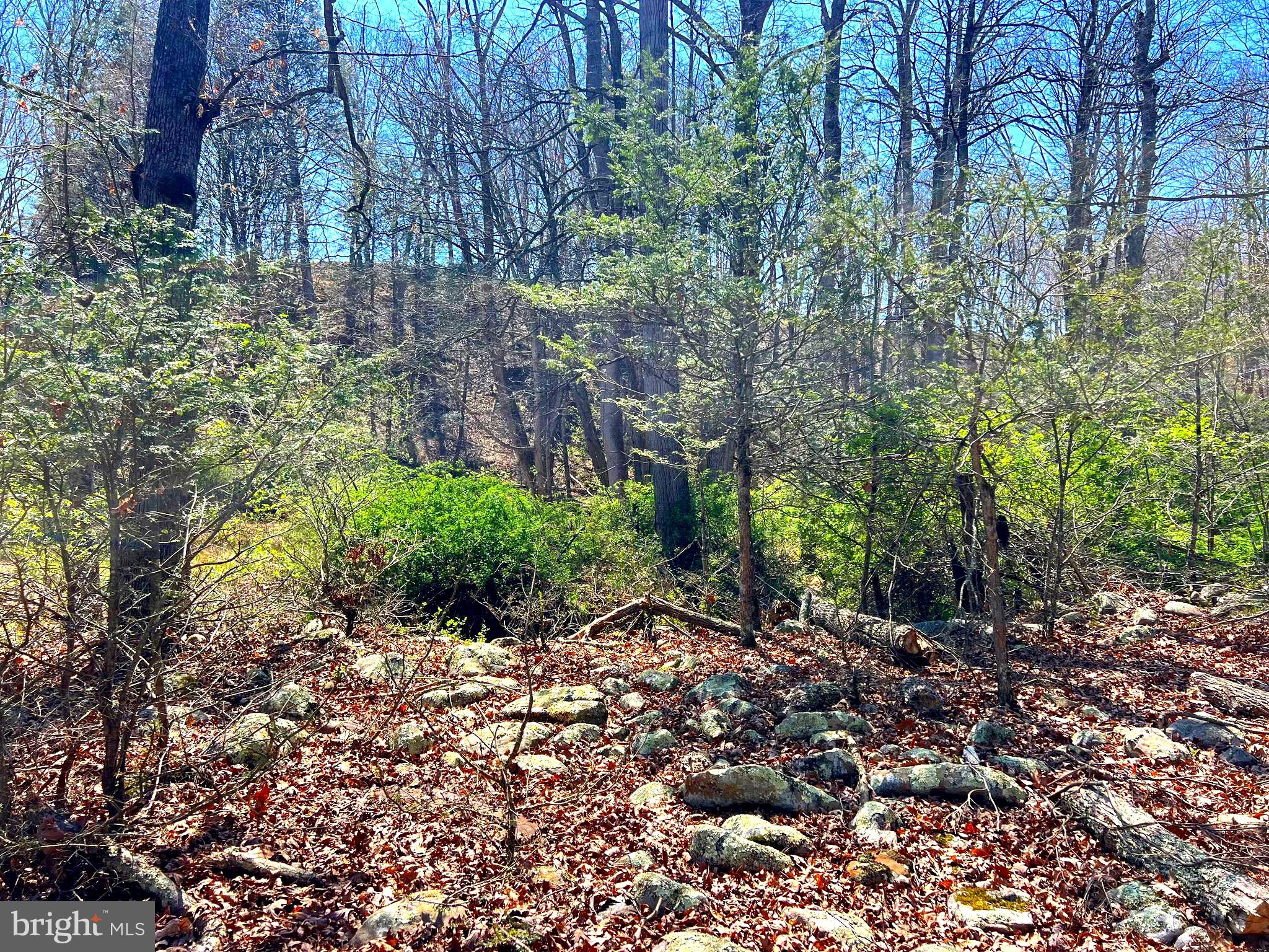 250 LOWER PINE GROVE ROAD