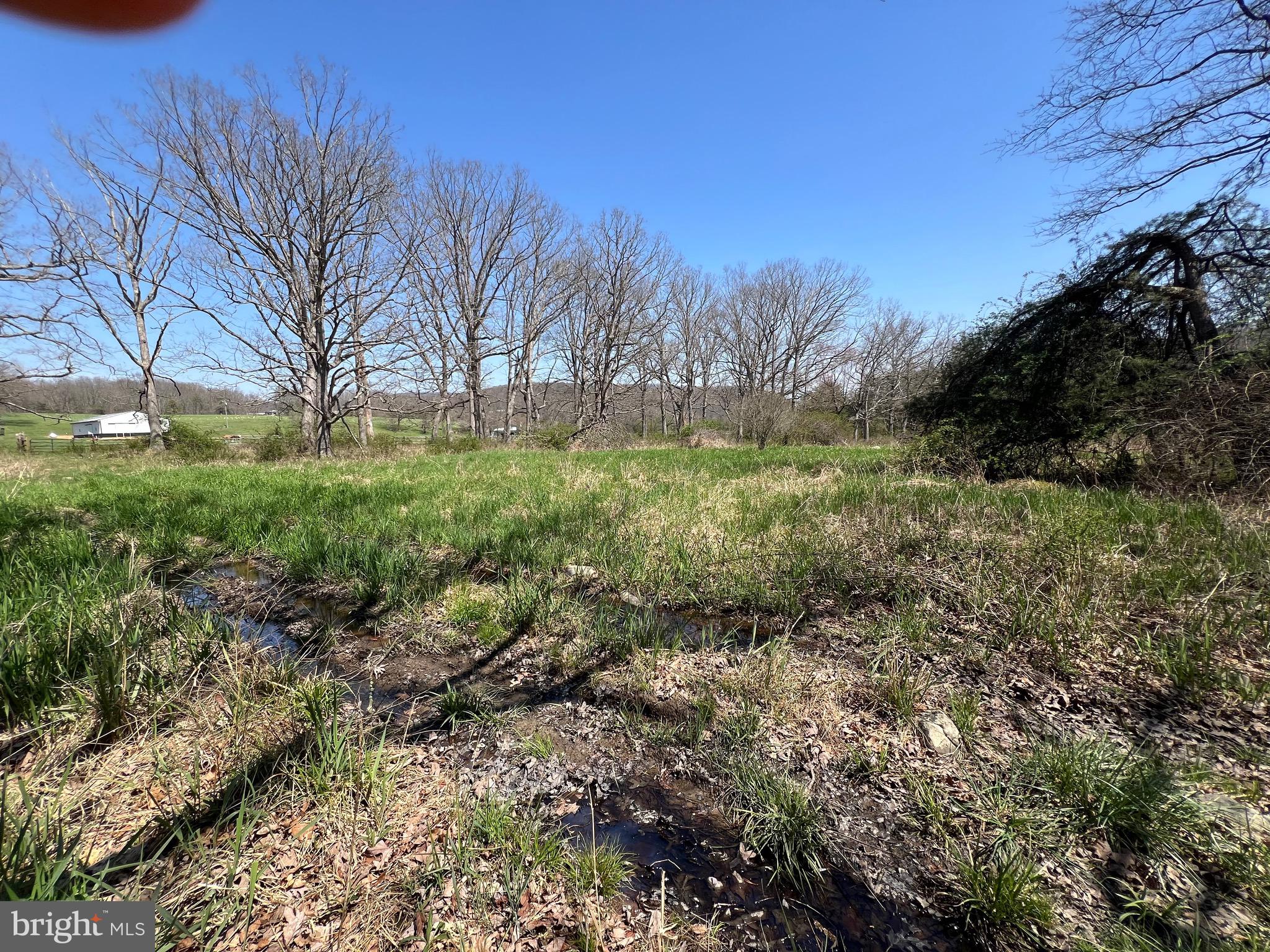 250 LOWER PINE GROVE ROAD