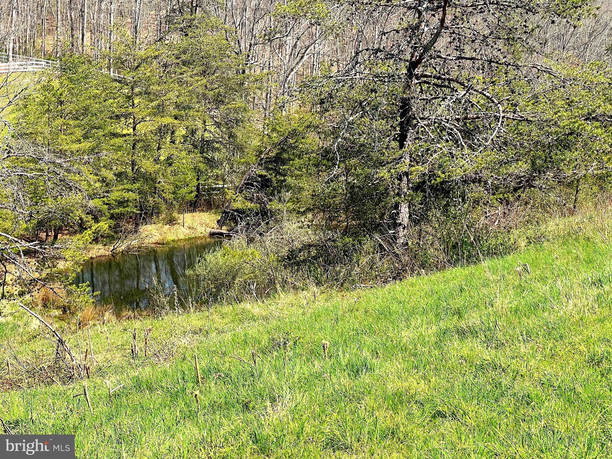 250 LOWER PINE GROVE ROAD