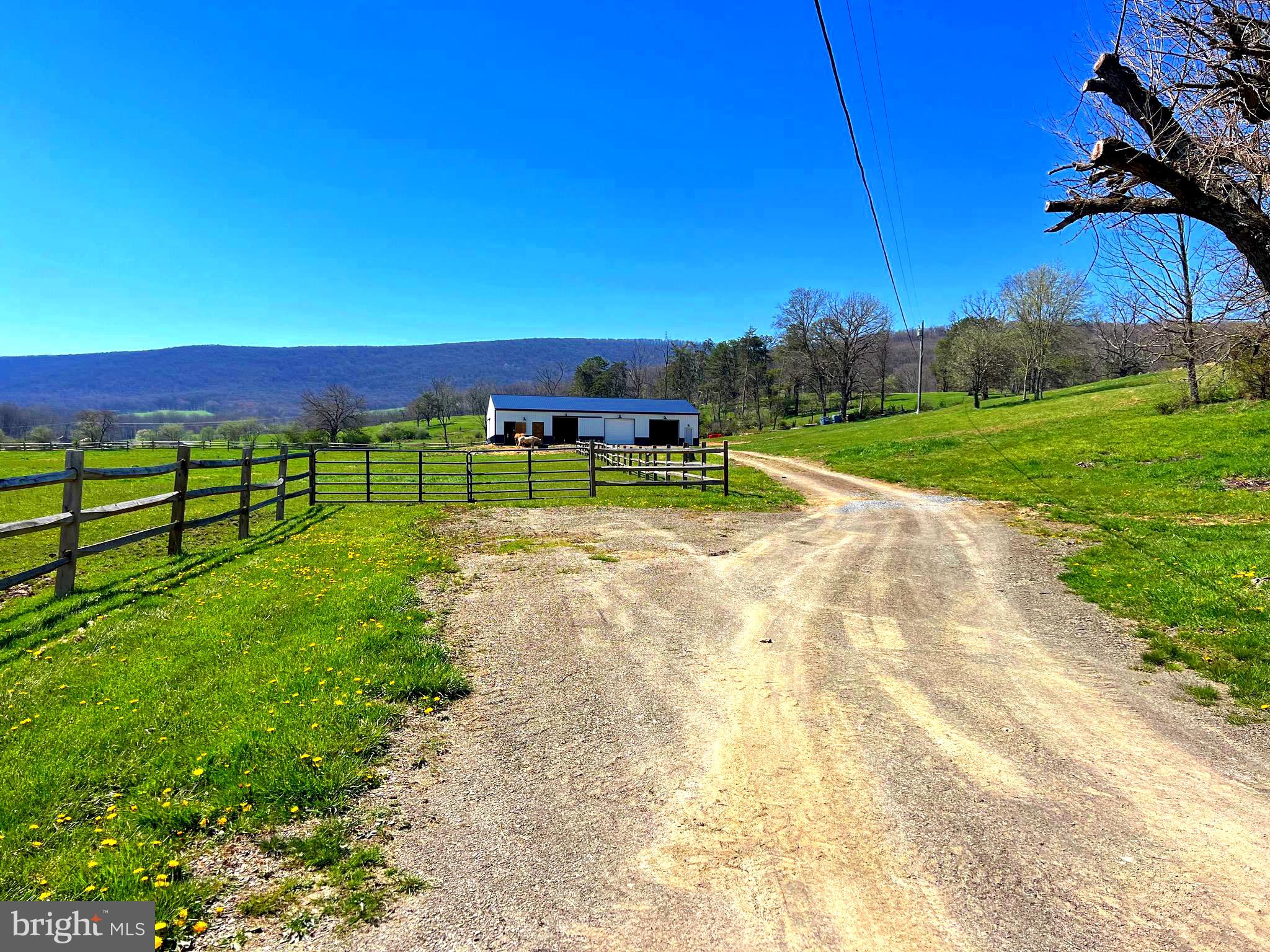 250 LOWER PINE GROVE ROAD