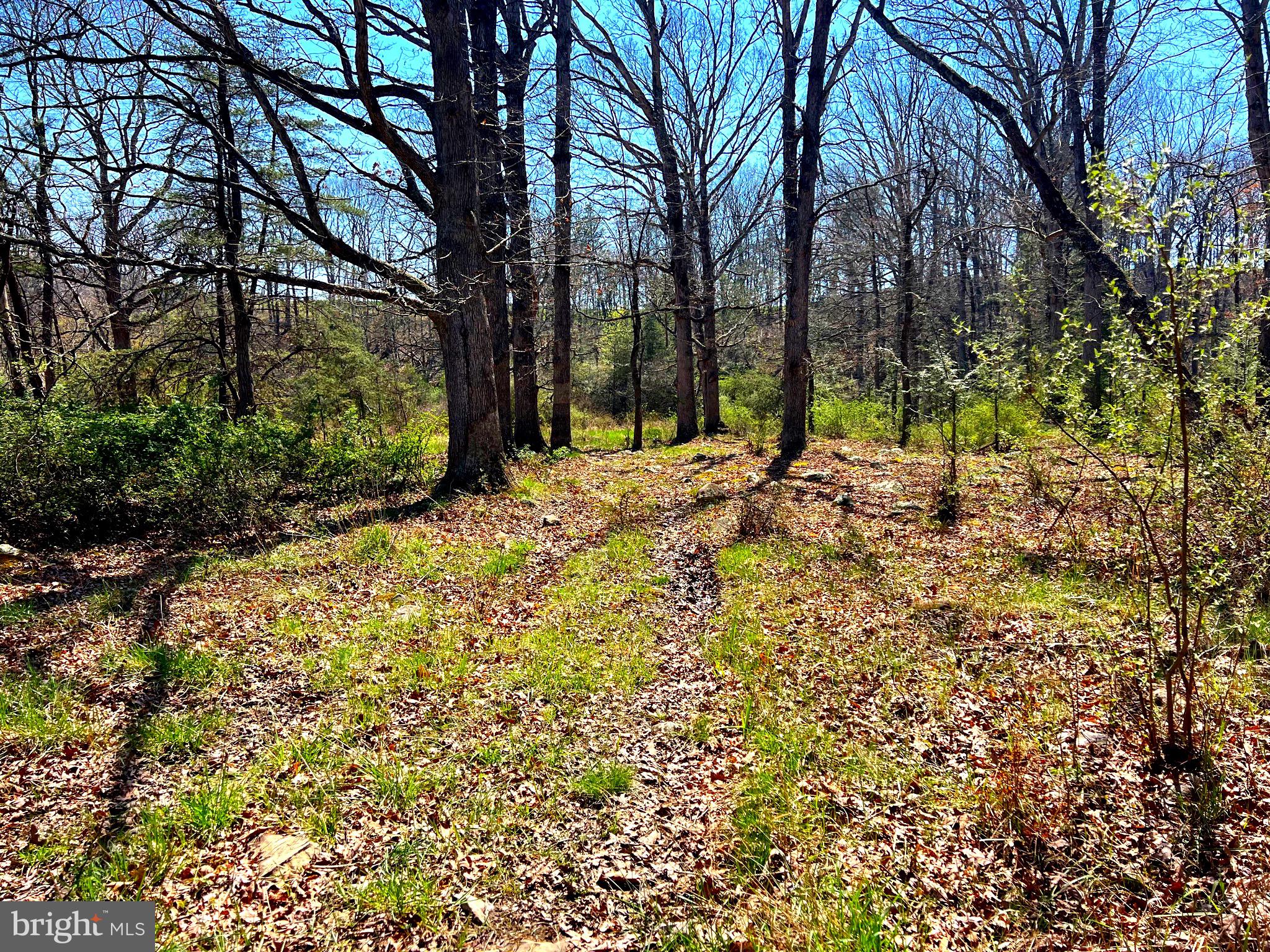 250 LOWER PINE GROVE ROAD