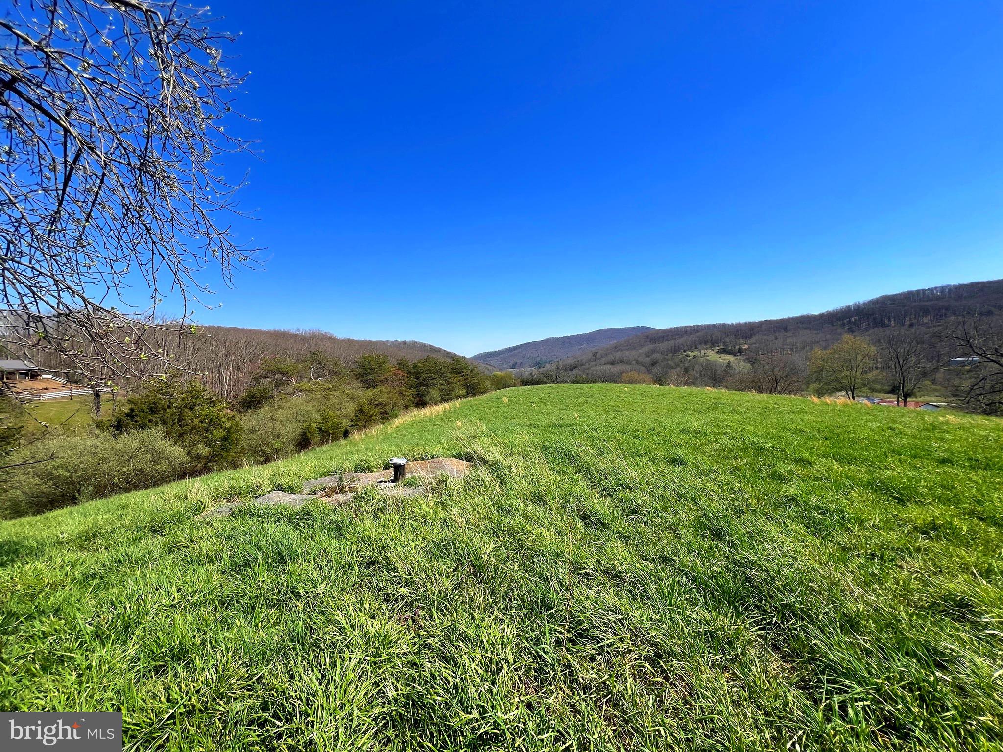 250 LOWER PINE GROVE ROAD