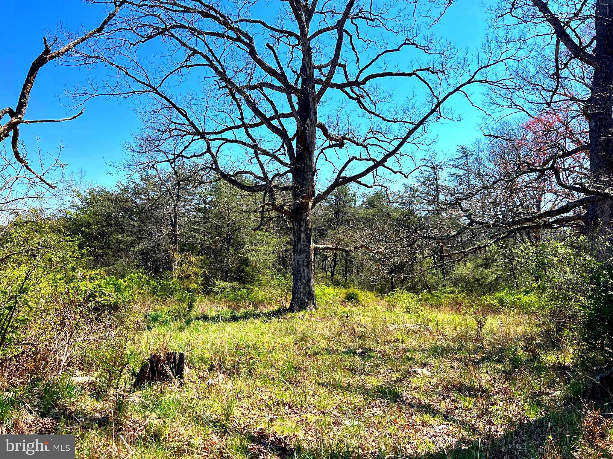 250 LOWER PINE GROVE ROAD