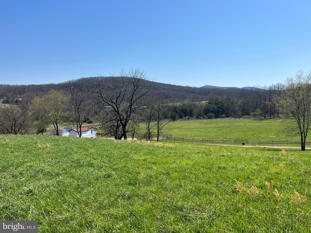 250 LOWER PINE GROVE ROAD
