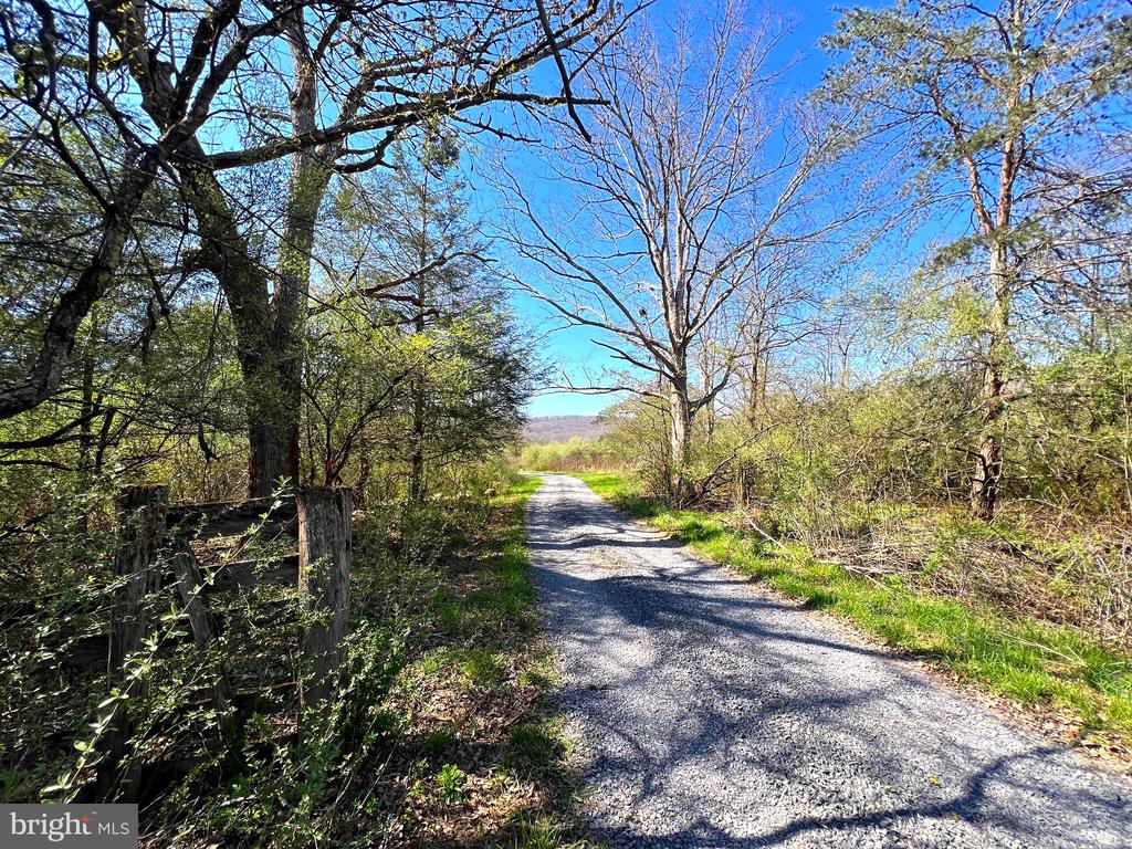 250 LOWER PINE GROVE ROAD